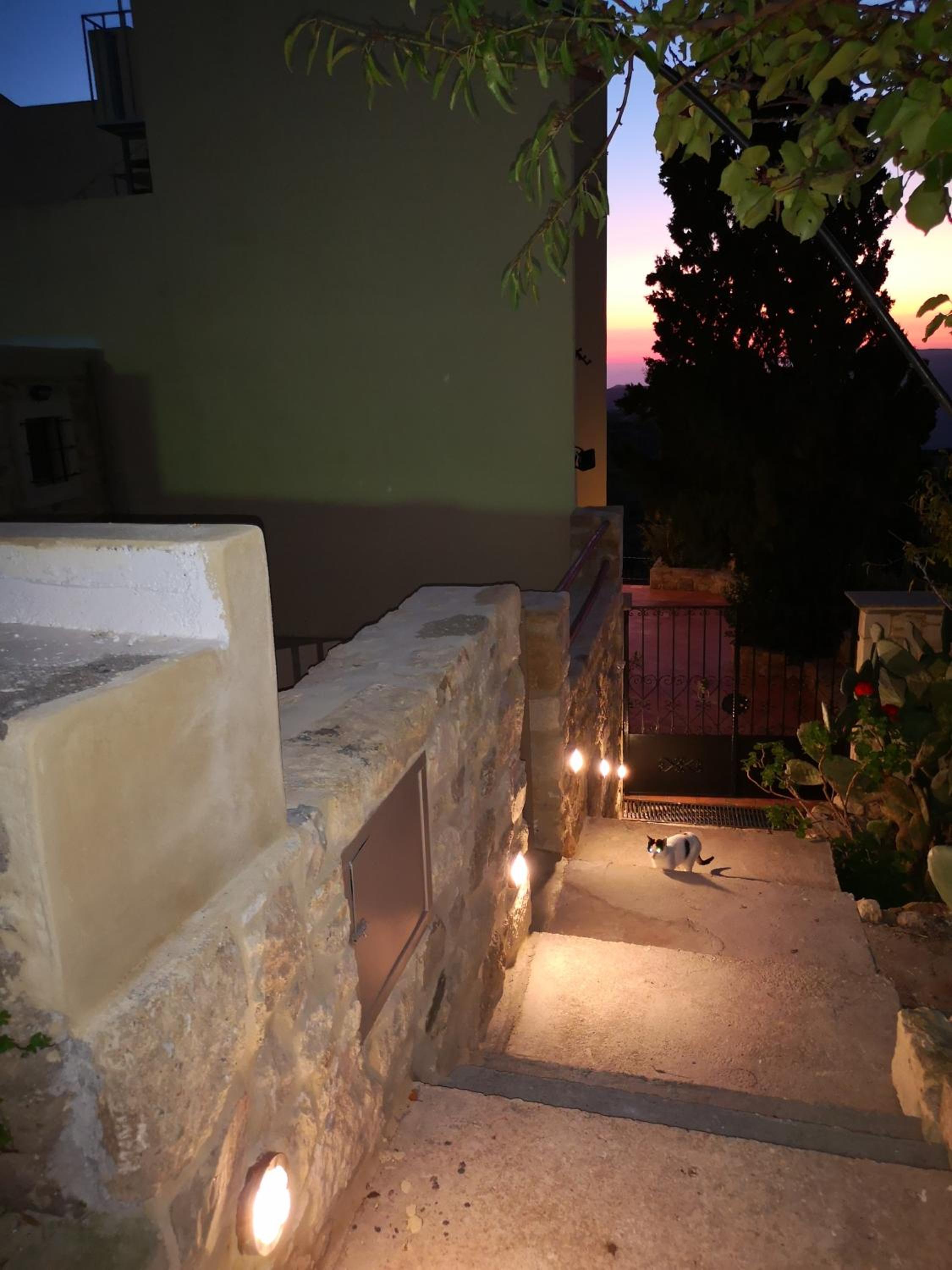 Casa Opuntia