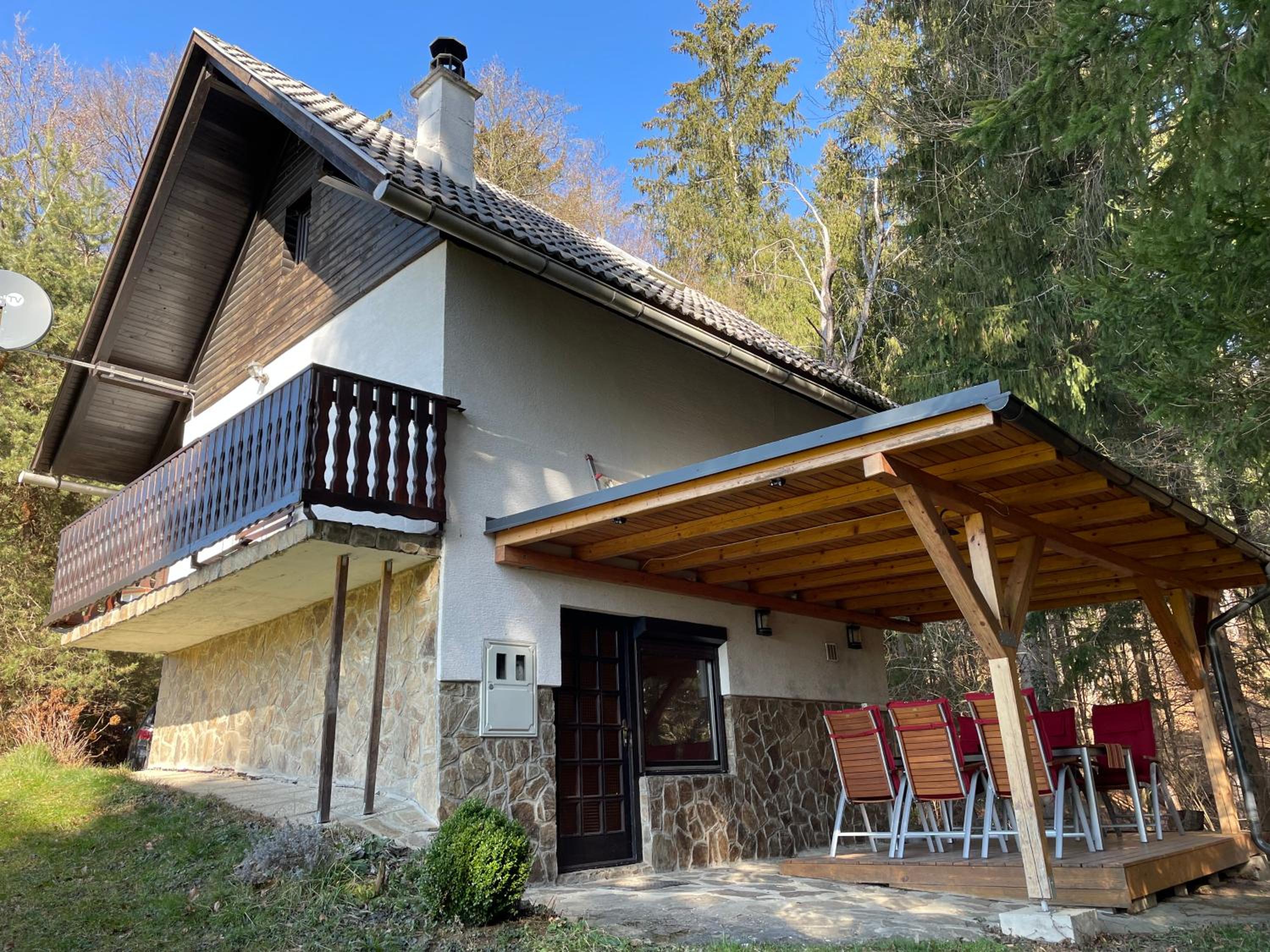Vintage Holiday House