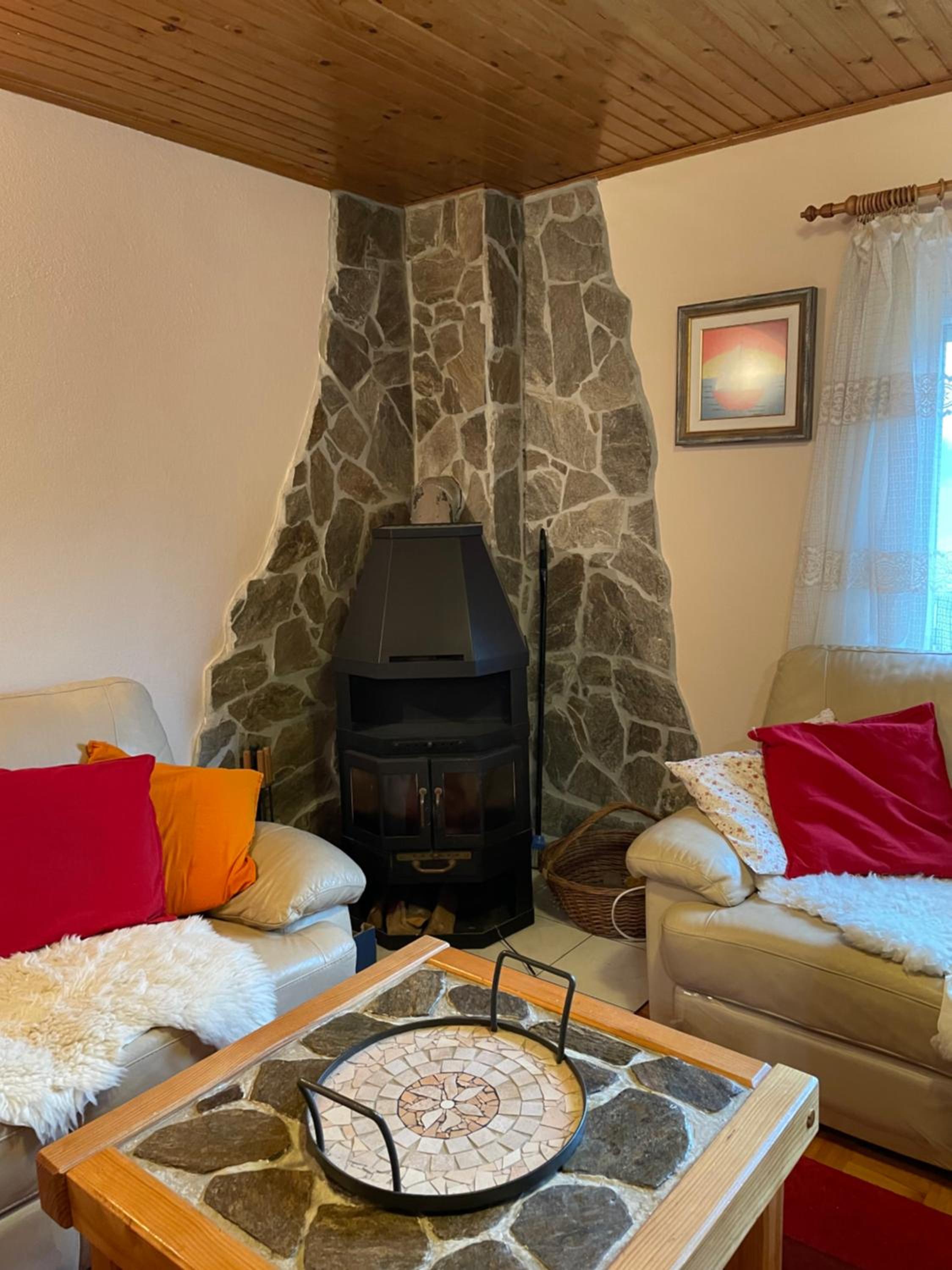 Vintage Holiday House