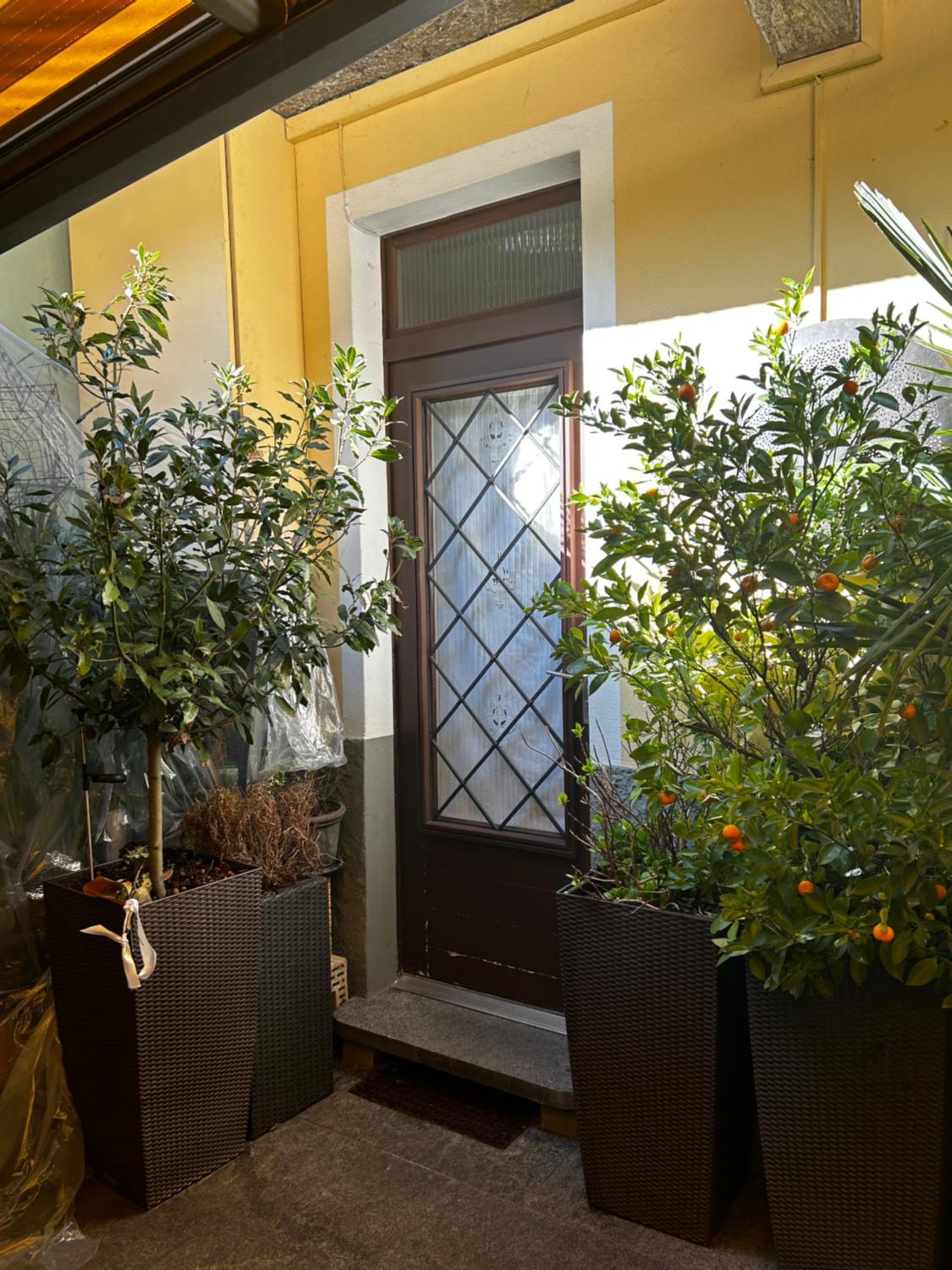 Charming Room in the heart of Locarno