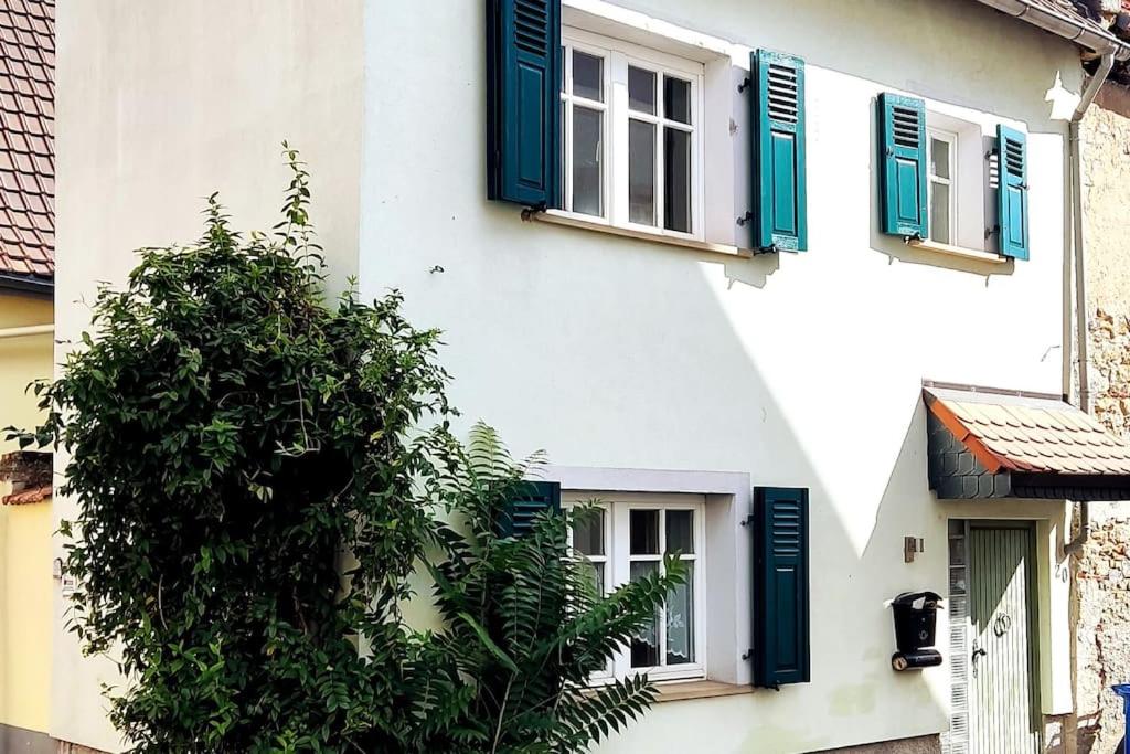 Schönes gemütliches Haus TopLage