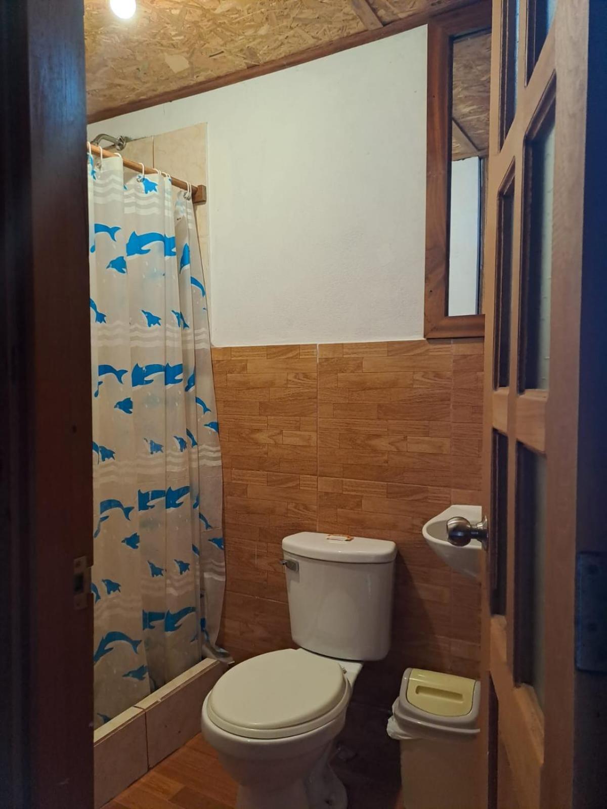 Photo 44