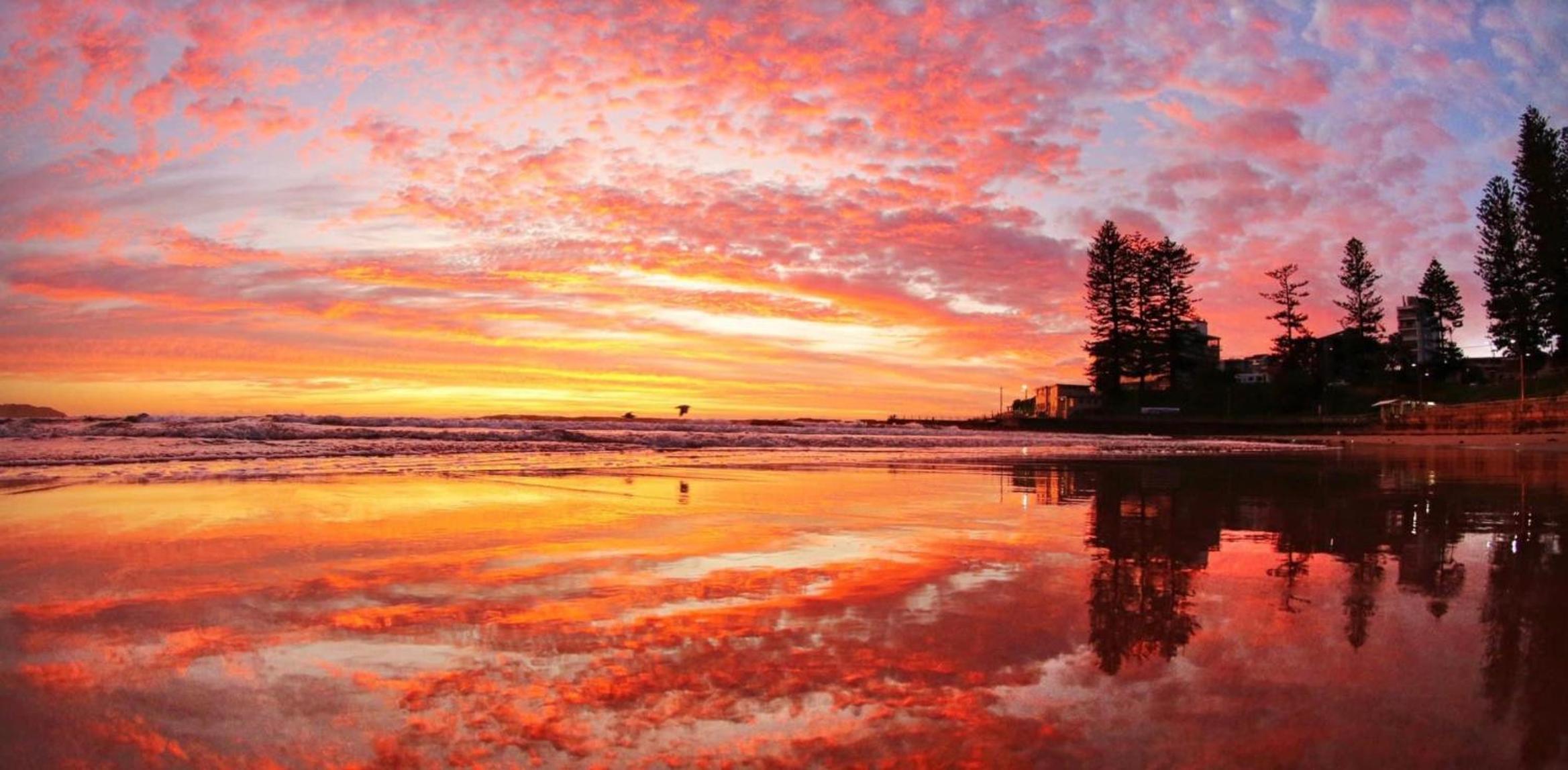 Dee Why Beach - Surfrider Studio 8