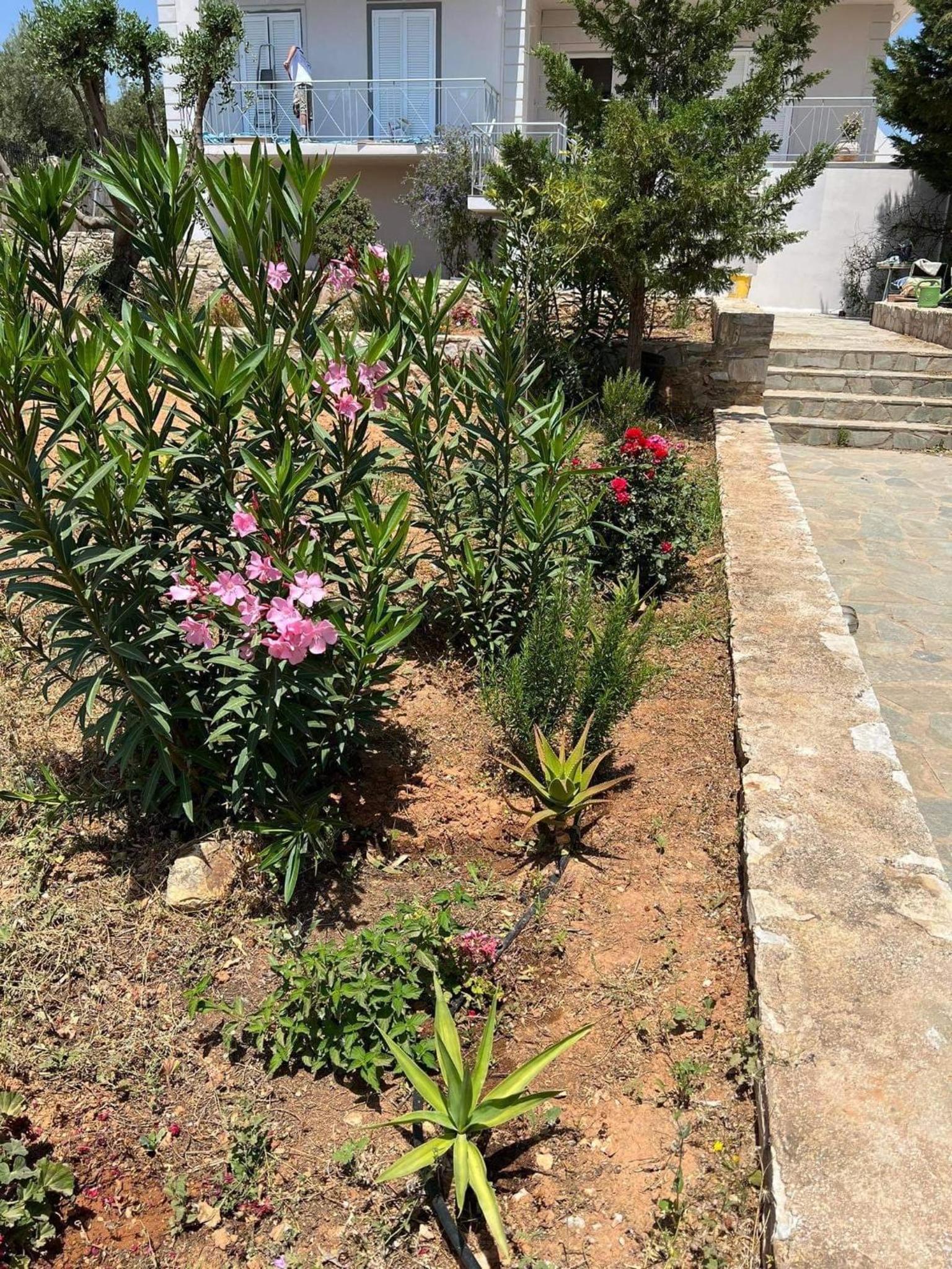 Villa Maxima Lavrio view 2