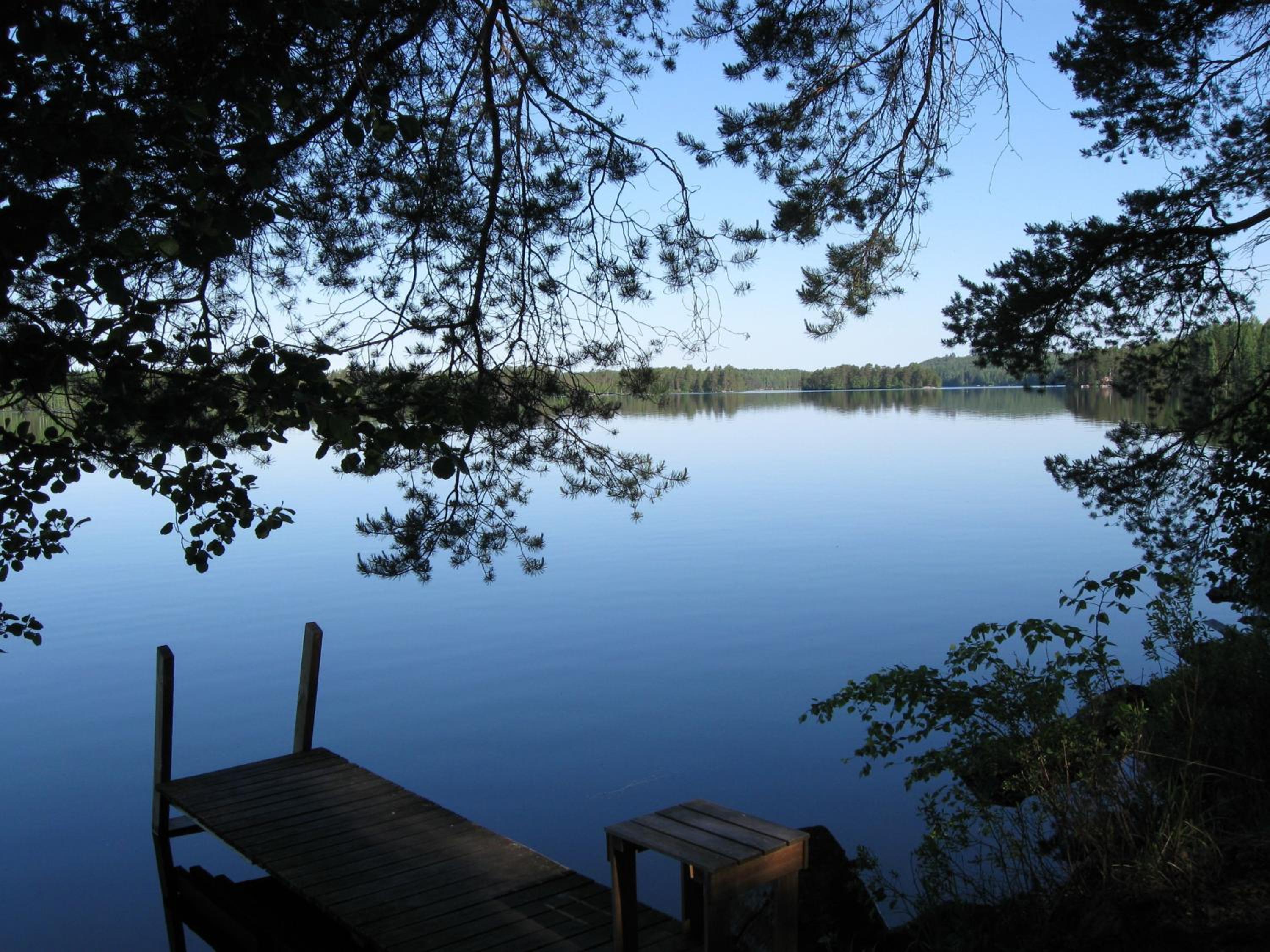 Photo 45