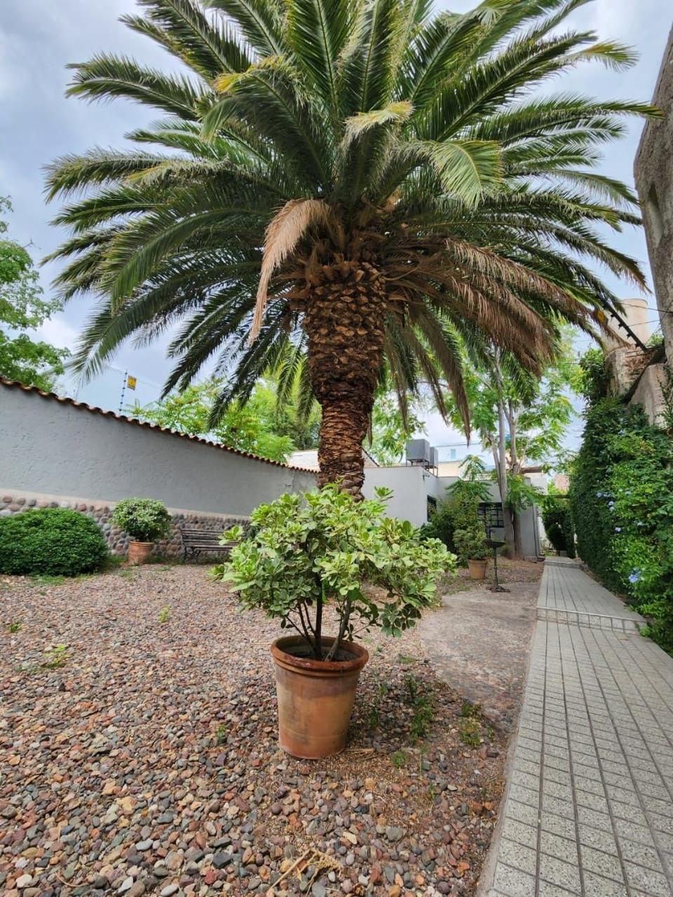Paso de los Andes 1450 Mendoza Suites