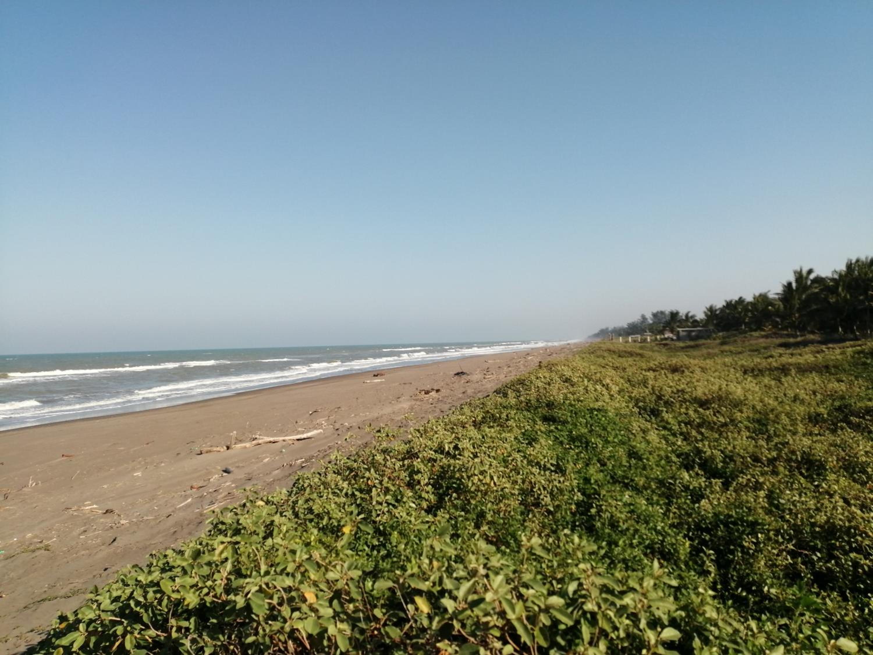 Photo 20