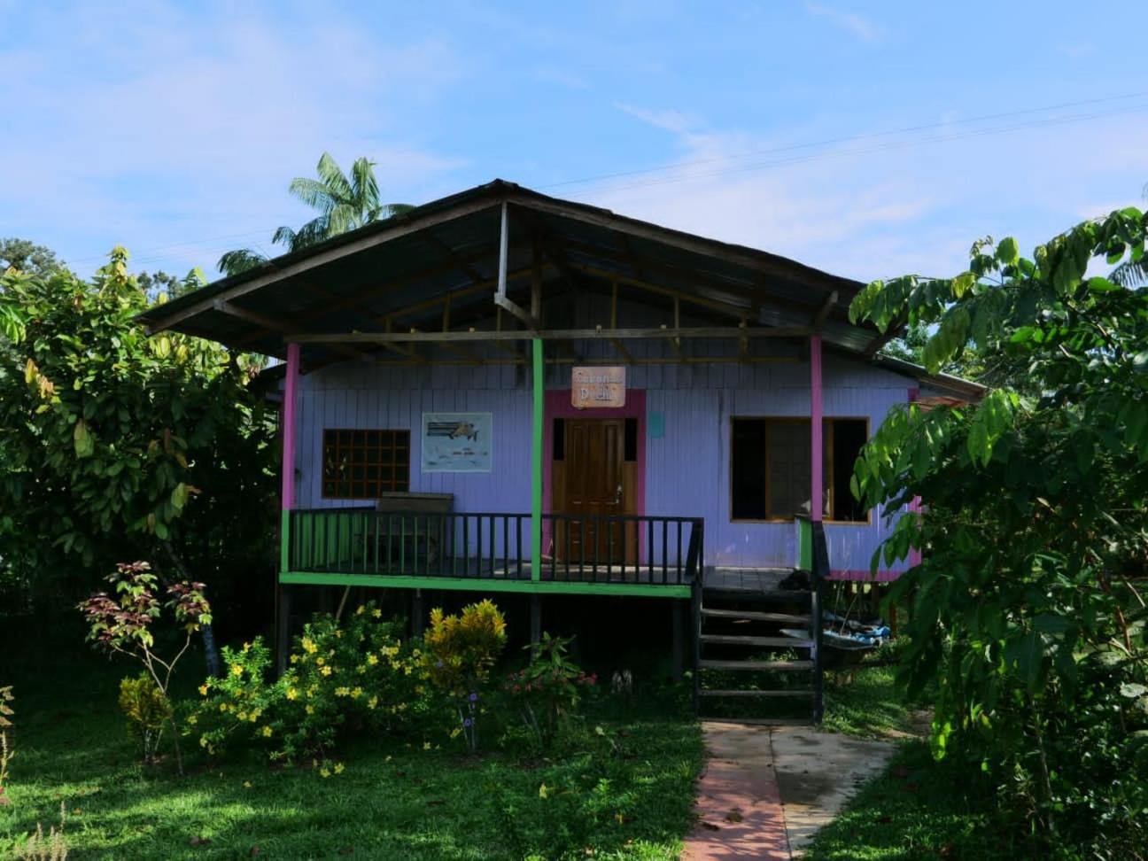 Photo 12