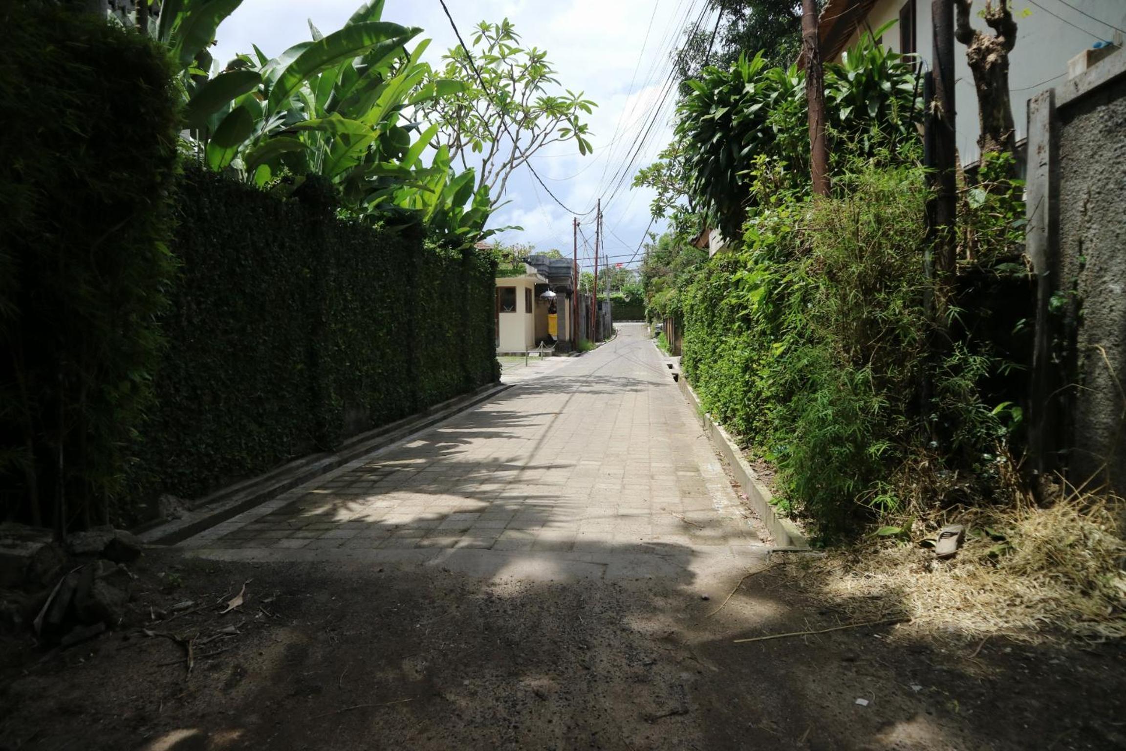 Photo 46