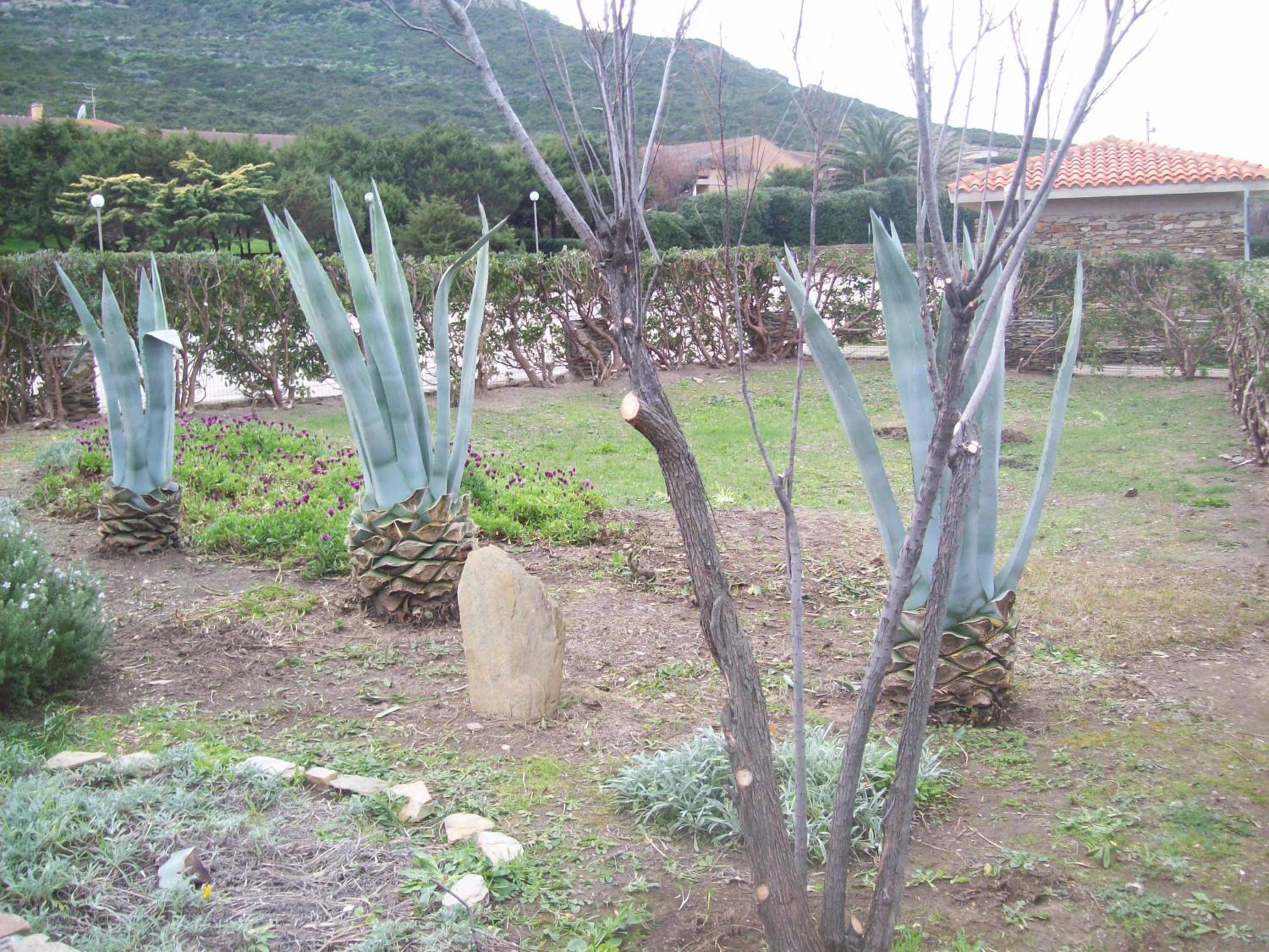Photo 28