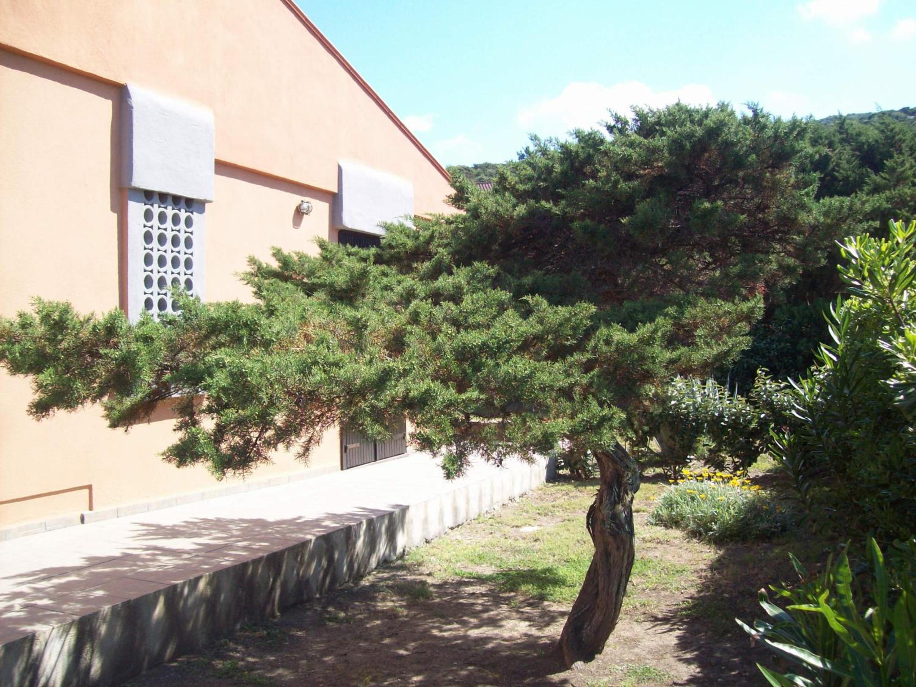 Photo 26