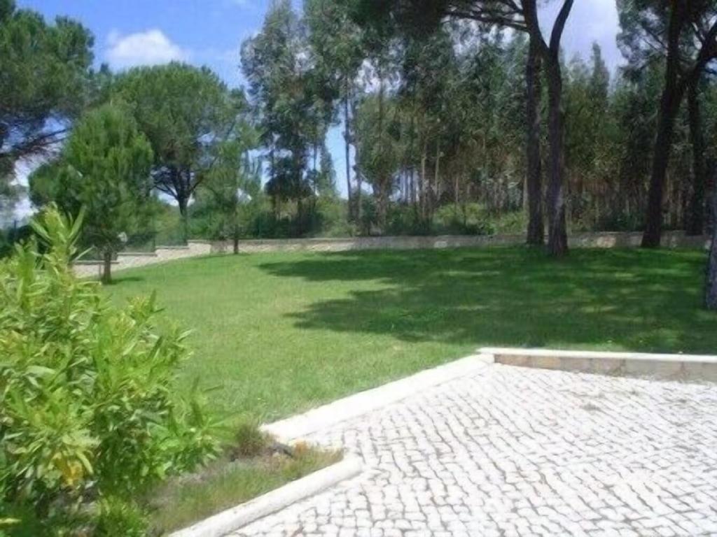 Quinta do Alto dos Pinheiros view 4