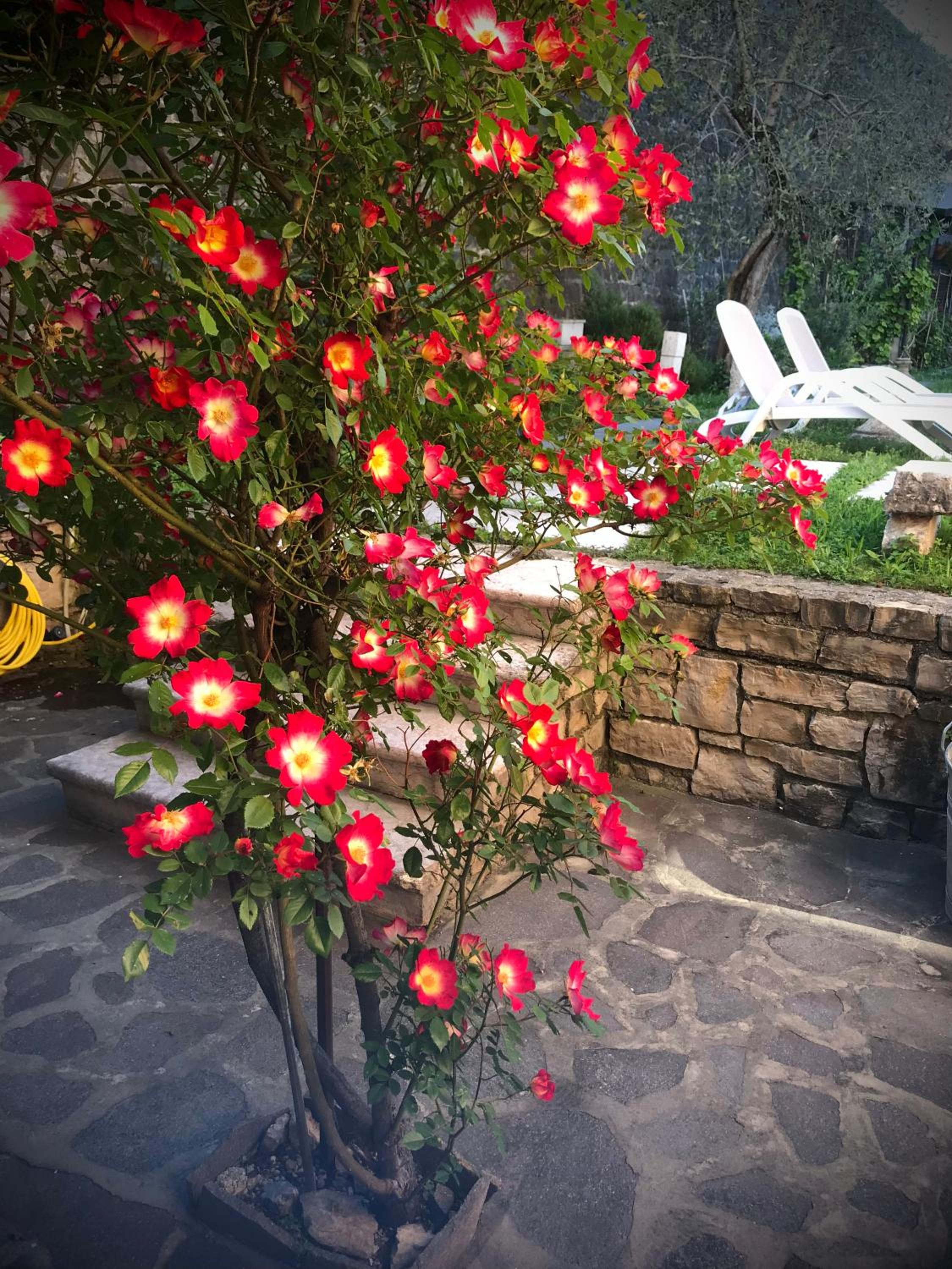 Villa Torre - Atmosfera Romantica