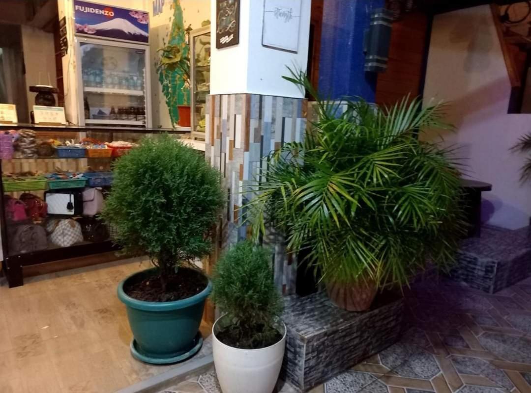 Photo 19