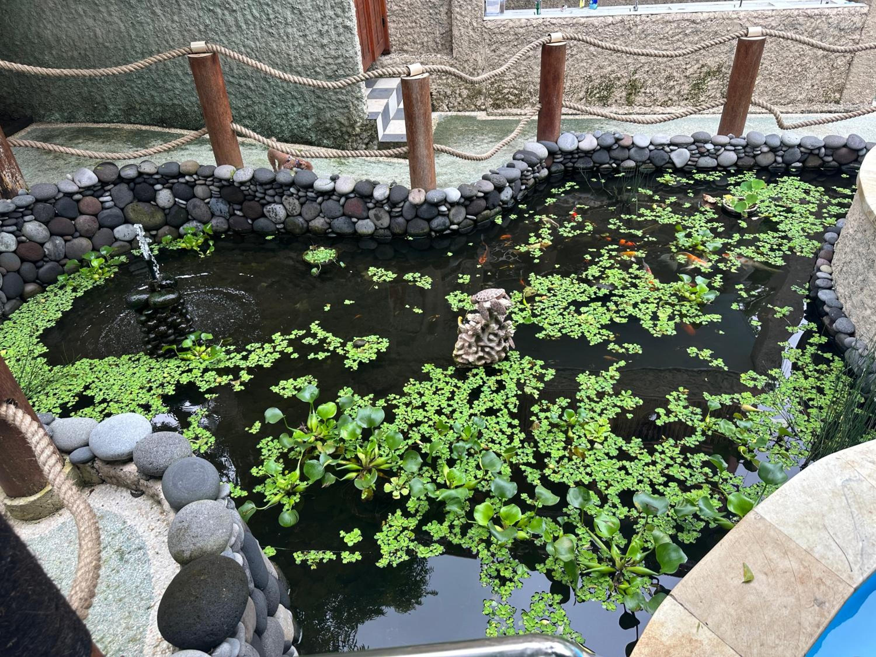 Photo 16
