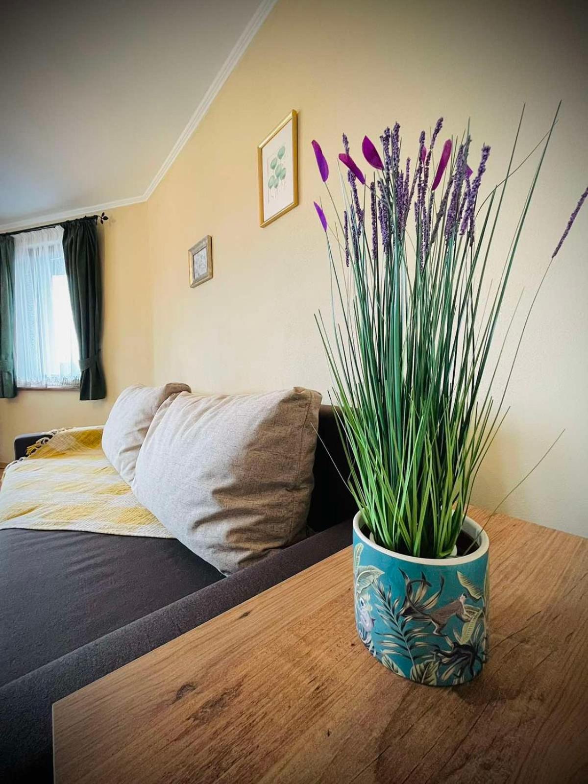 The Green Guest House-Amazing View, Top Location, Entire House