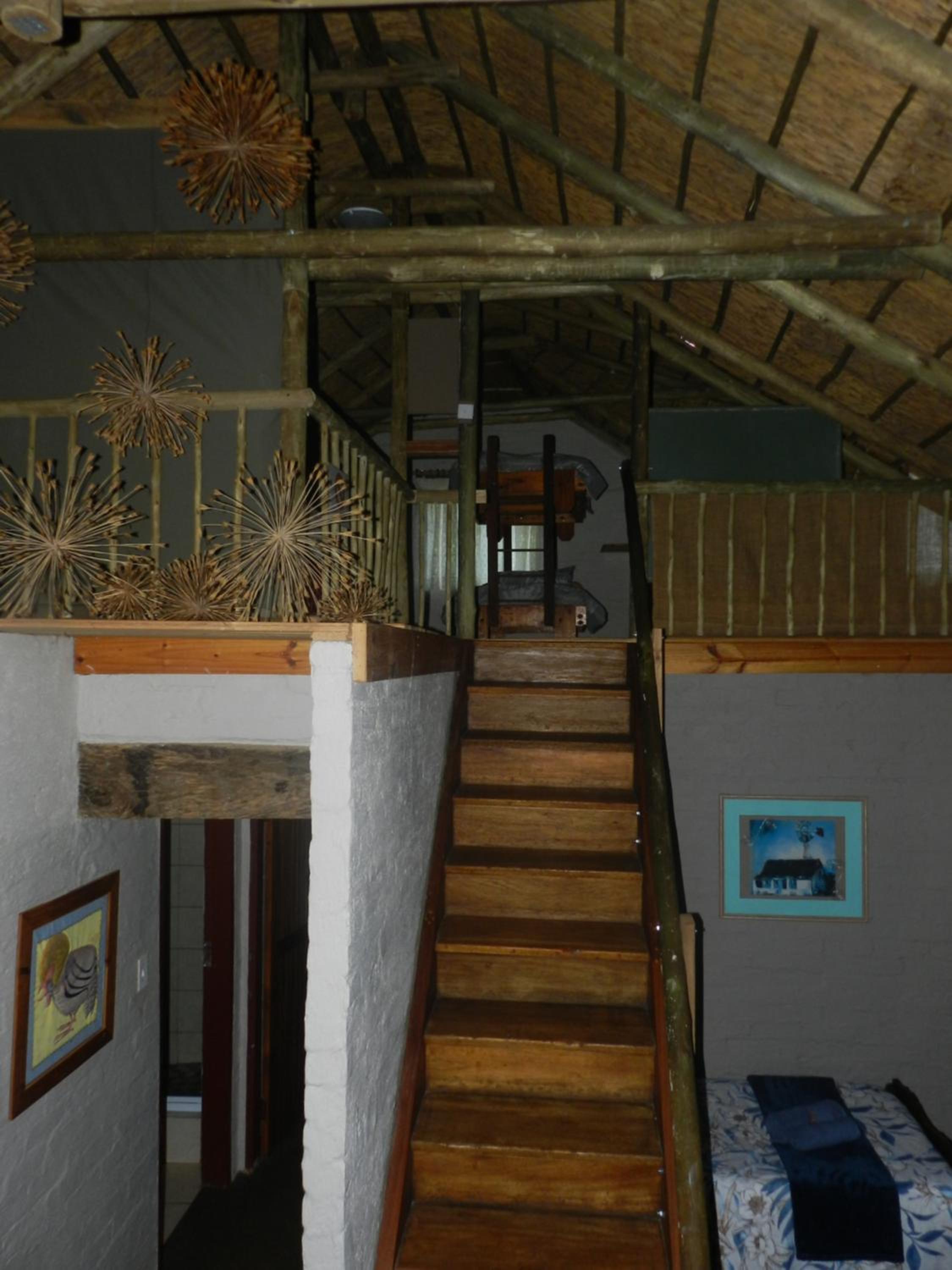 Cozy cottage in the Cradle of Humankind