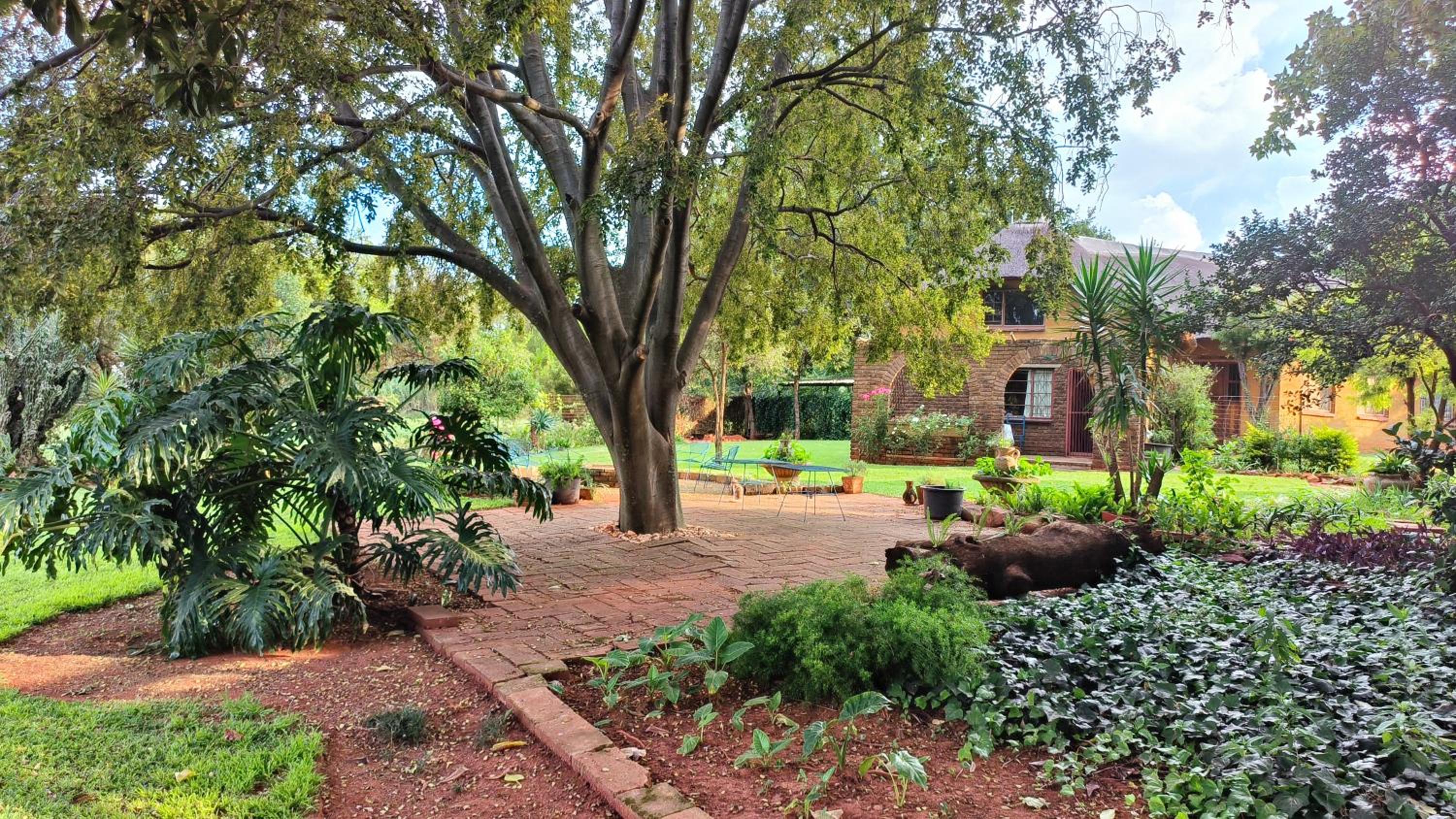 Cozy cottage in the Cradle of Humankind