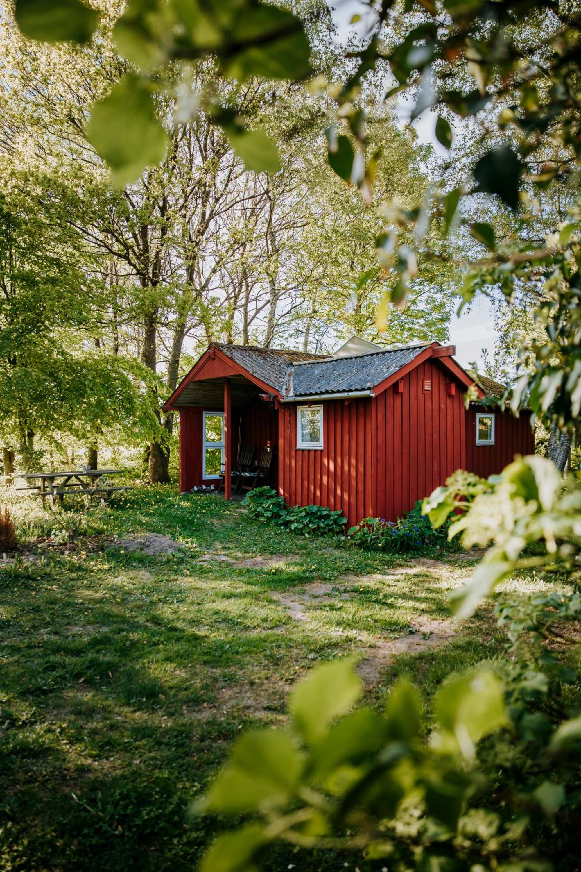 The Cottage
