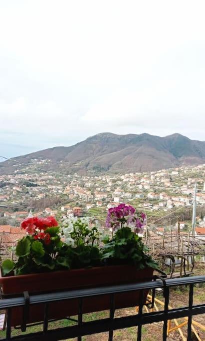 La Casetta di nonna Olga-Chalet photo 4