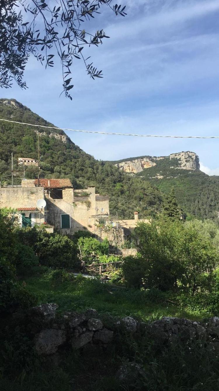 Casa Olivia Lacremà