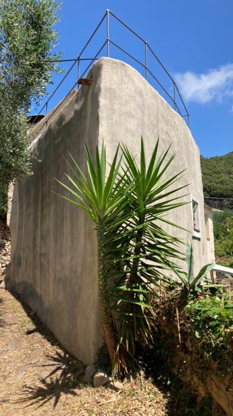 Casa Olivia Lacremà