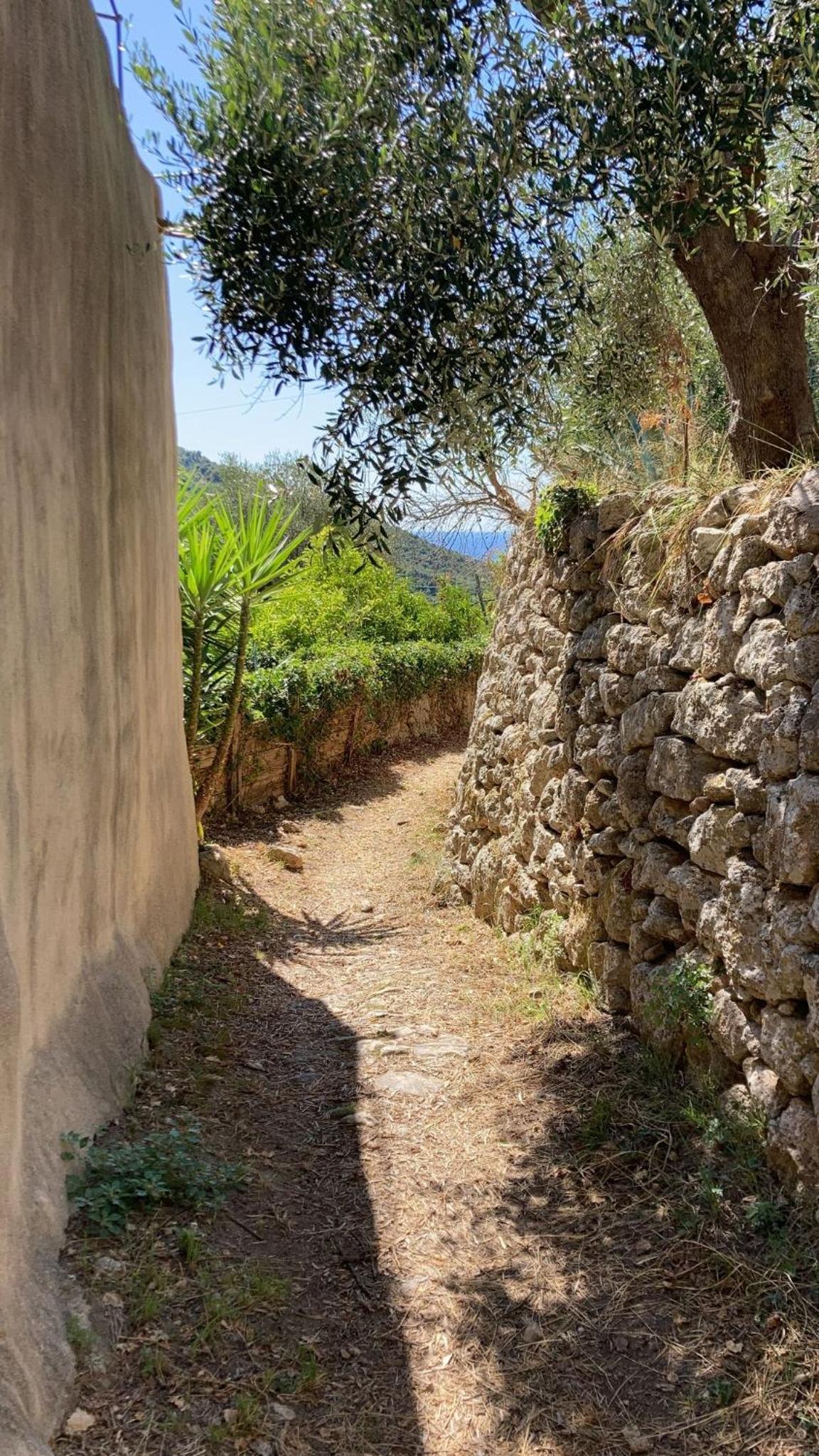 Casa Olivia Lacremà