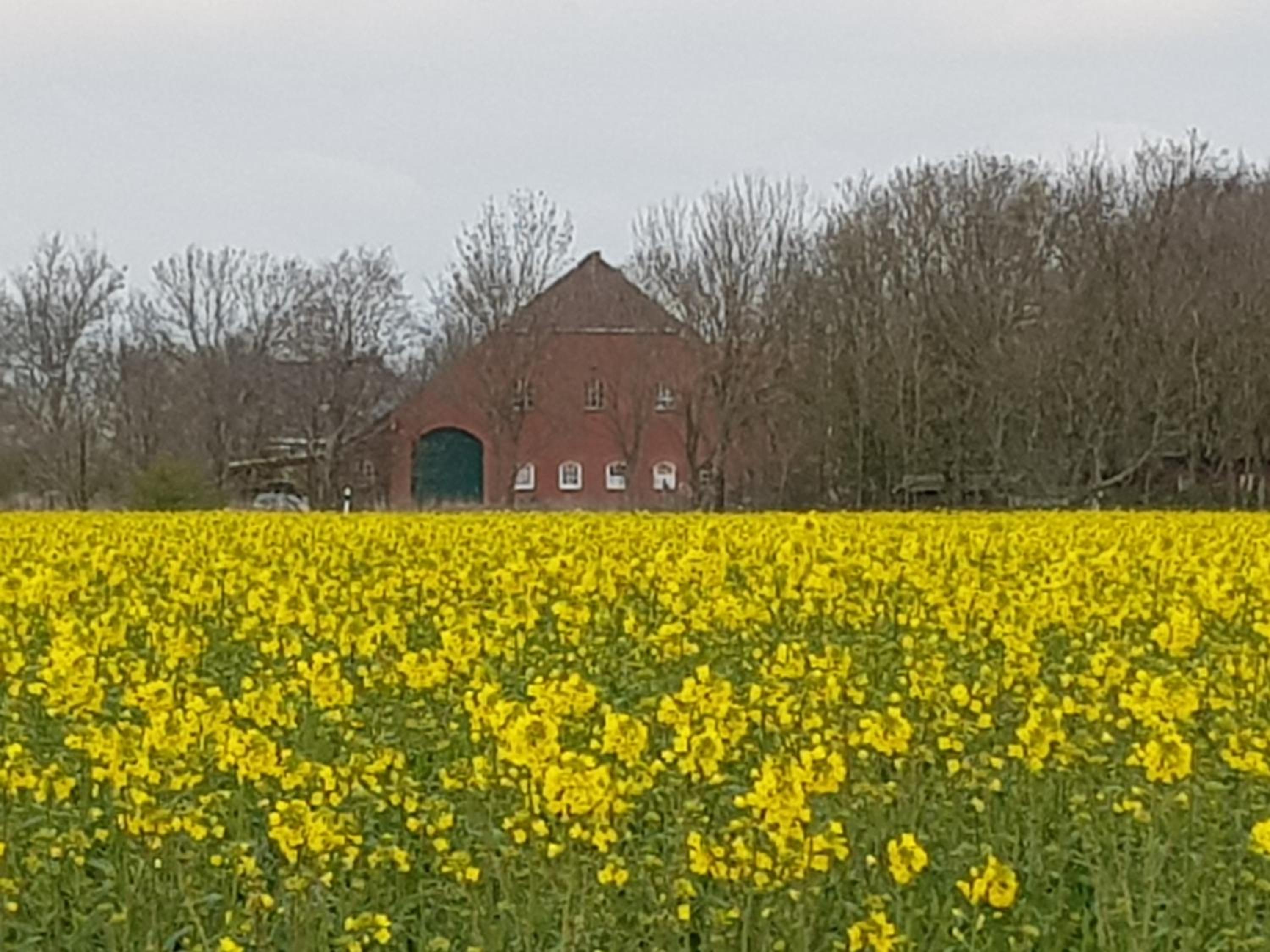 Gulfhof Anelis