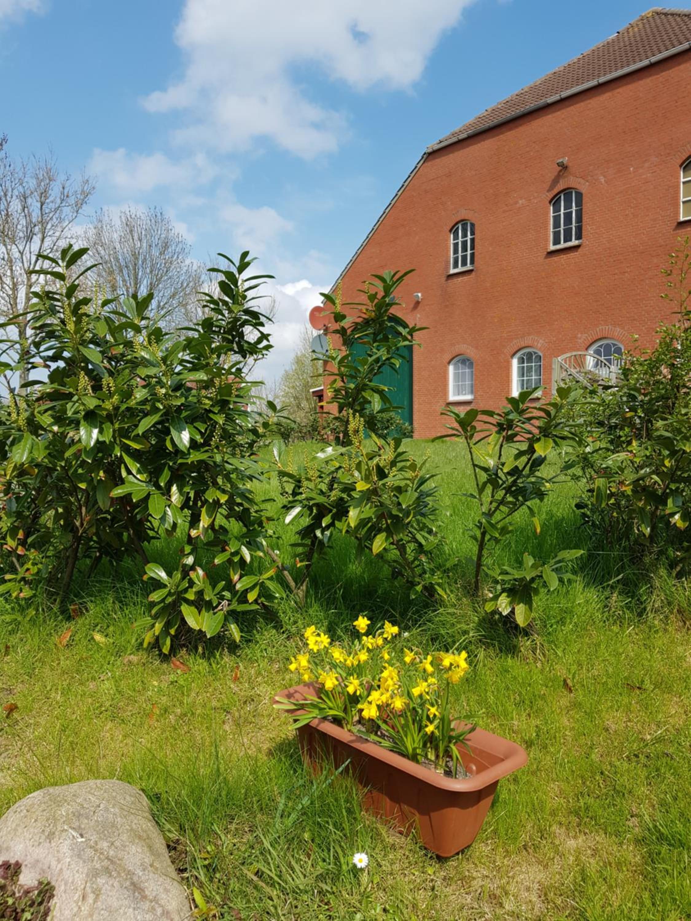 Gulfhof Anelis