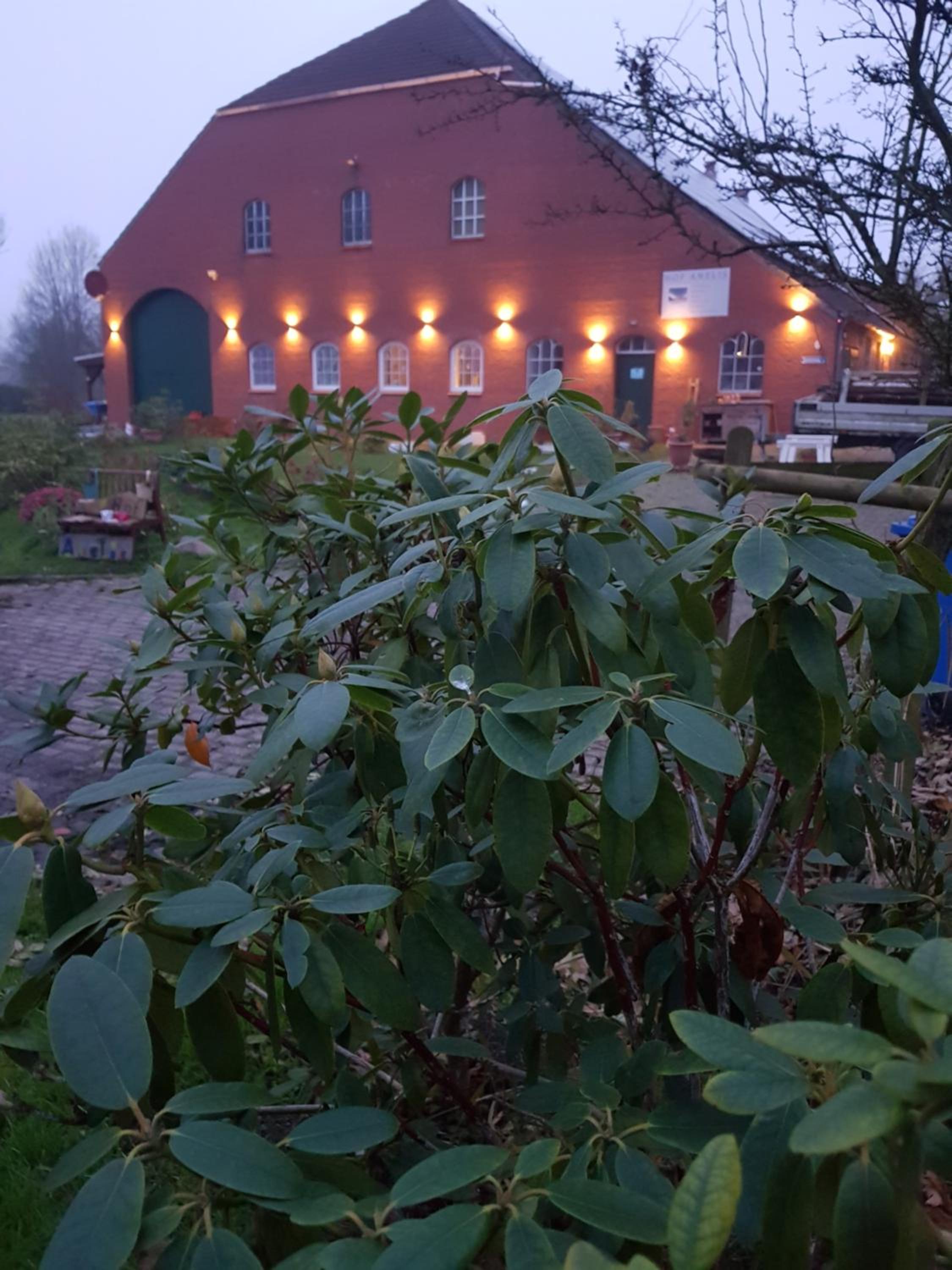 Gulfhof Anelis