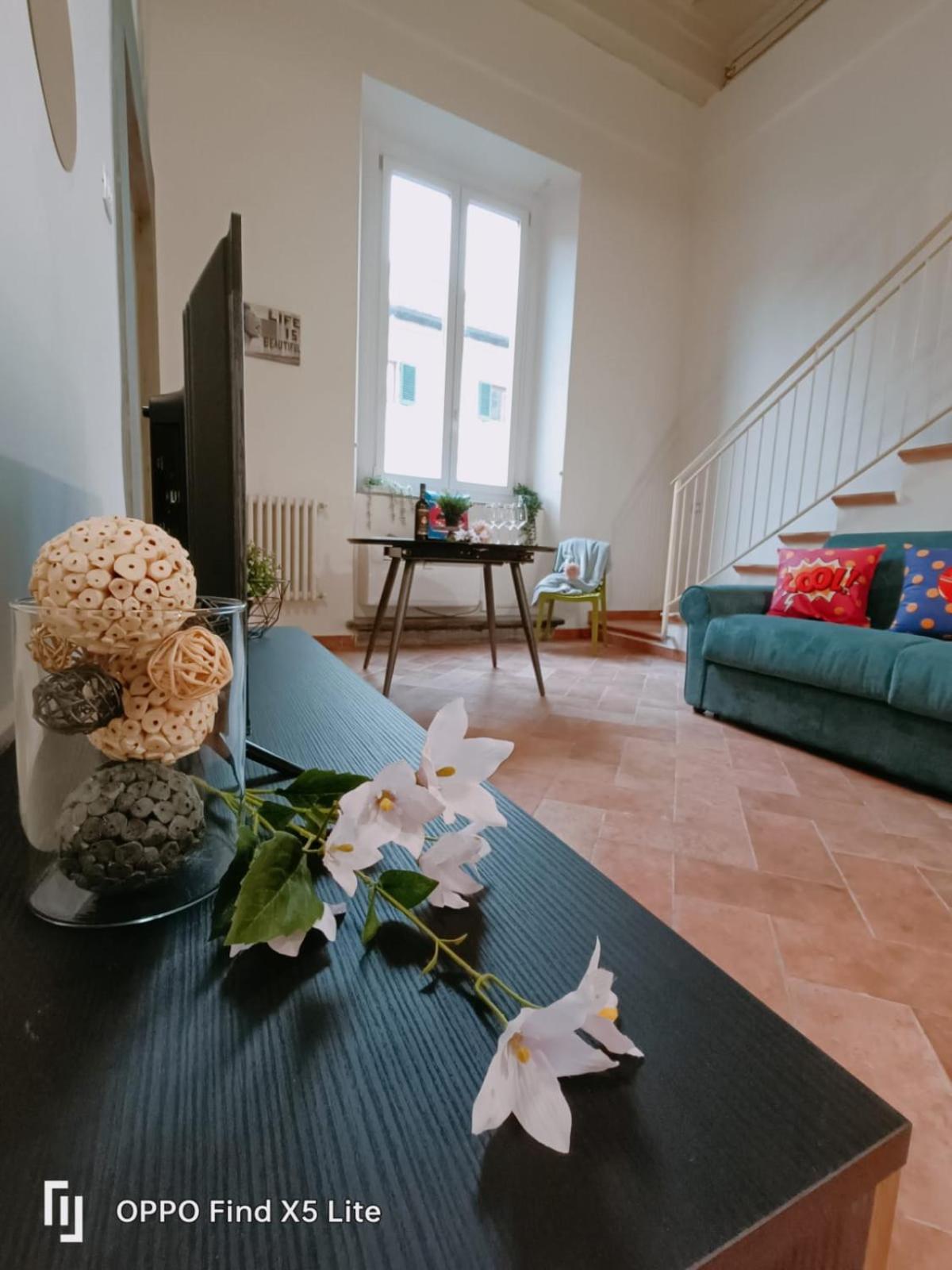 Fabroniana apartment Elegant