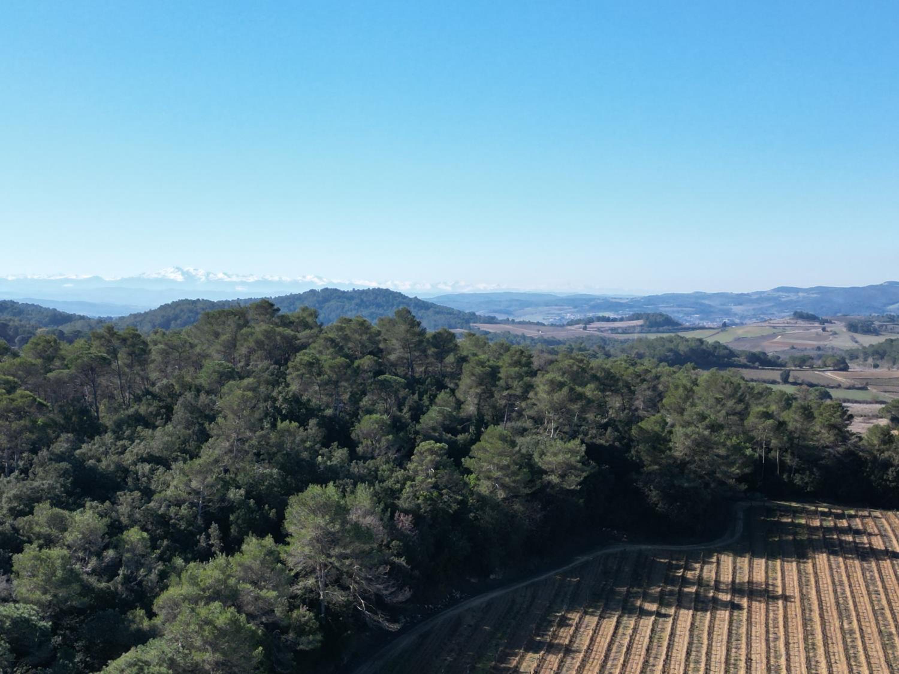Domaine La Sauzette view 2