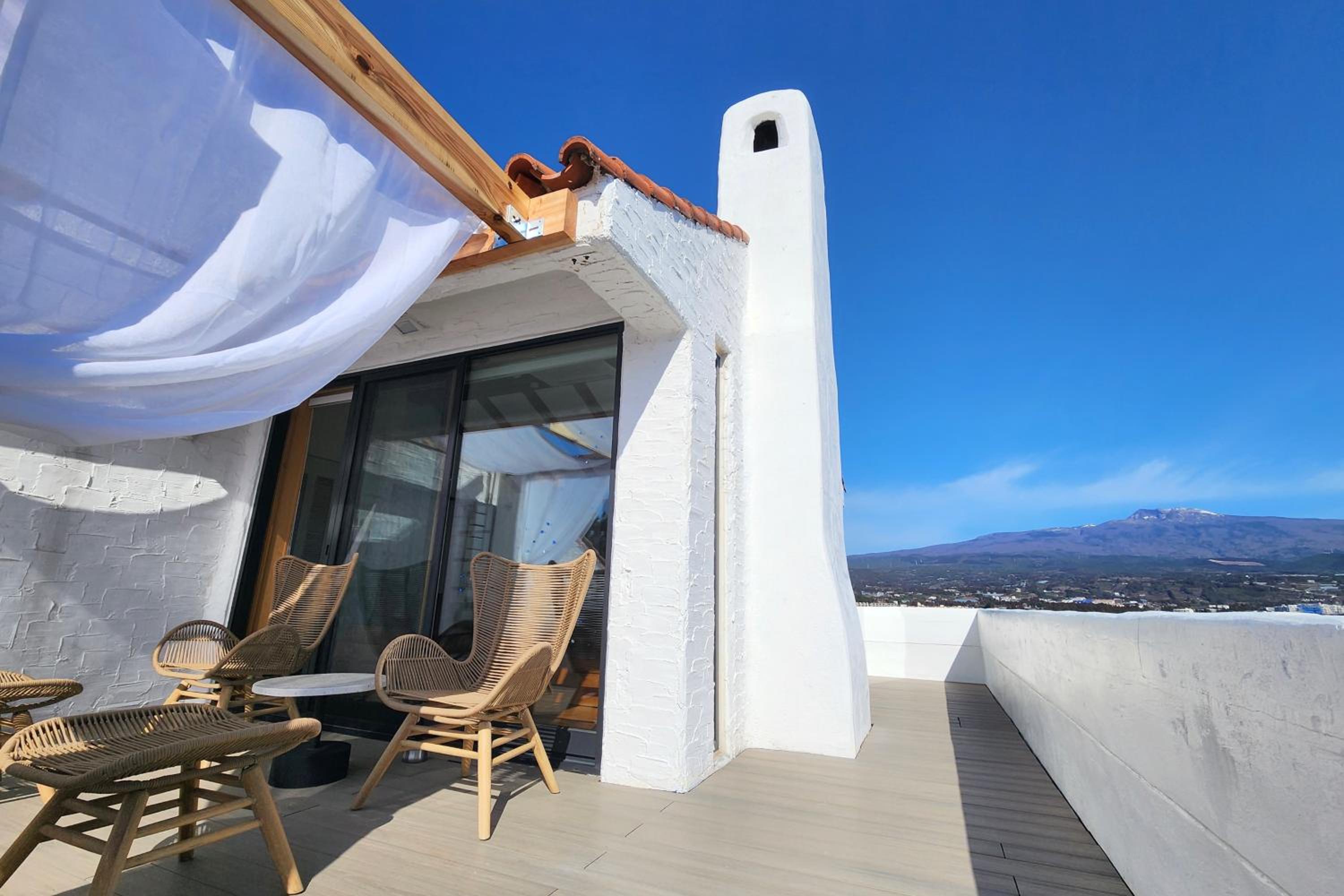 Palm Tree Villa