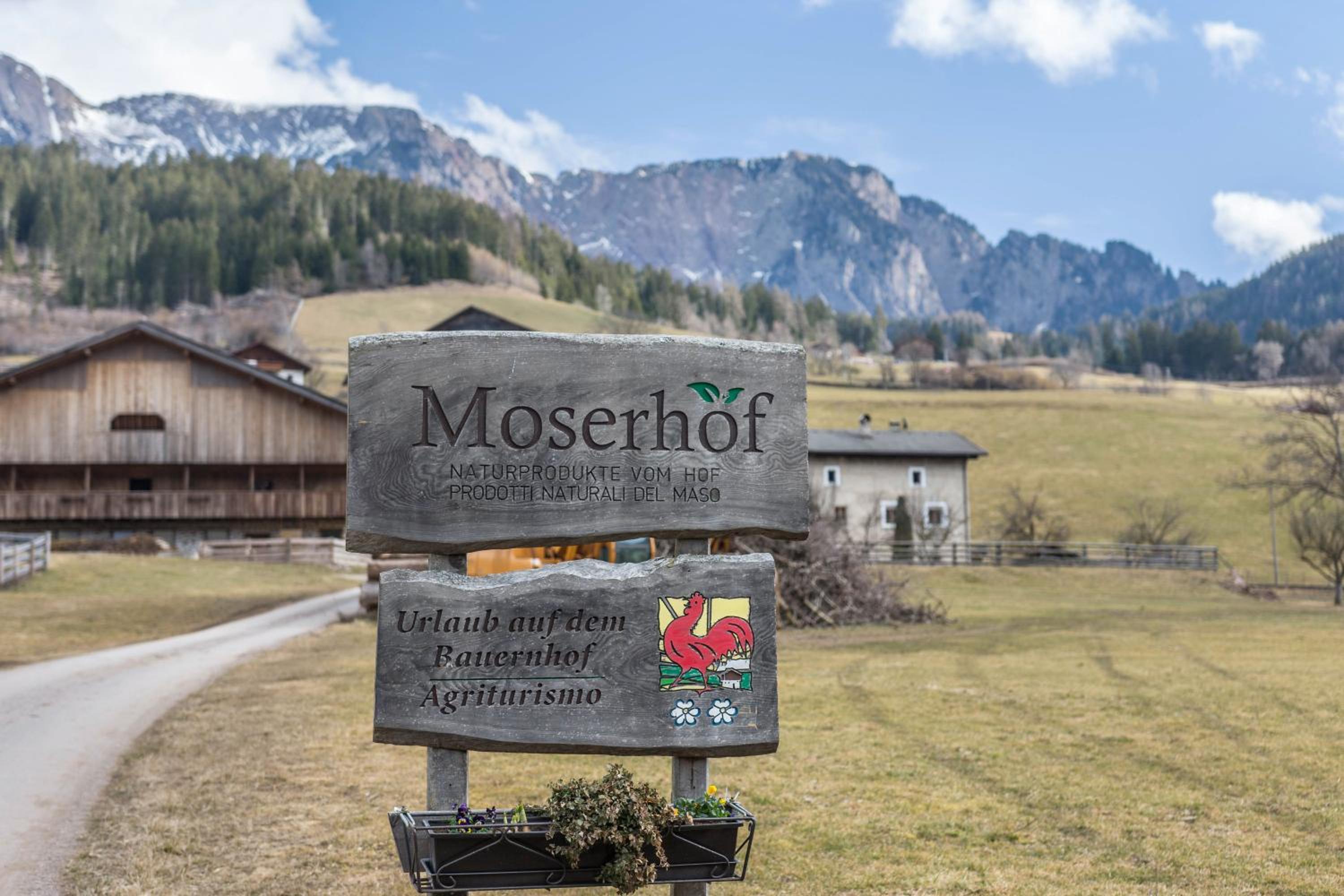 Moserhof Ferienwohnung Schartblick