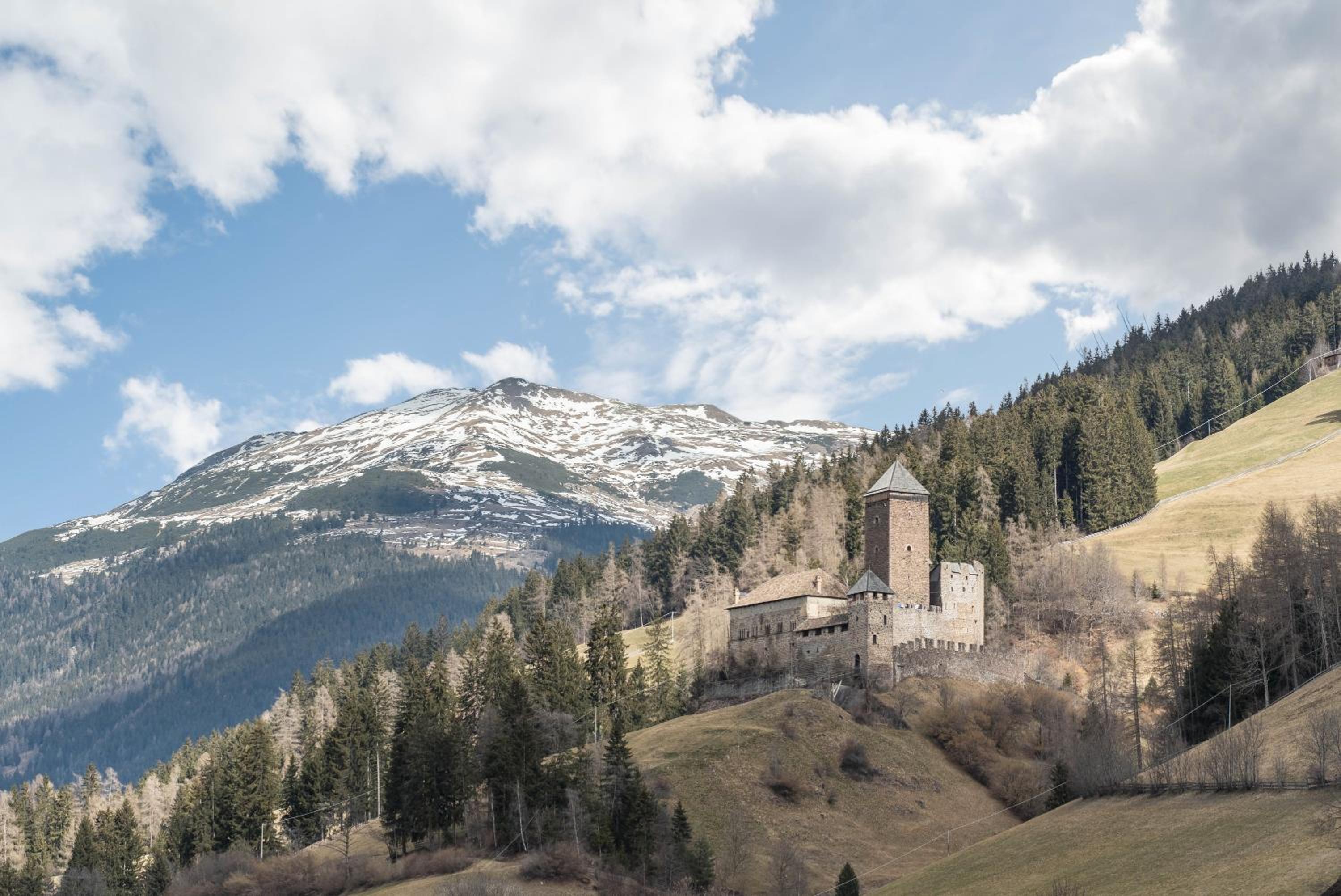Moserhof Ferienwohnung Schartblick