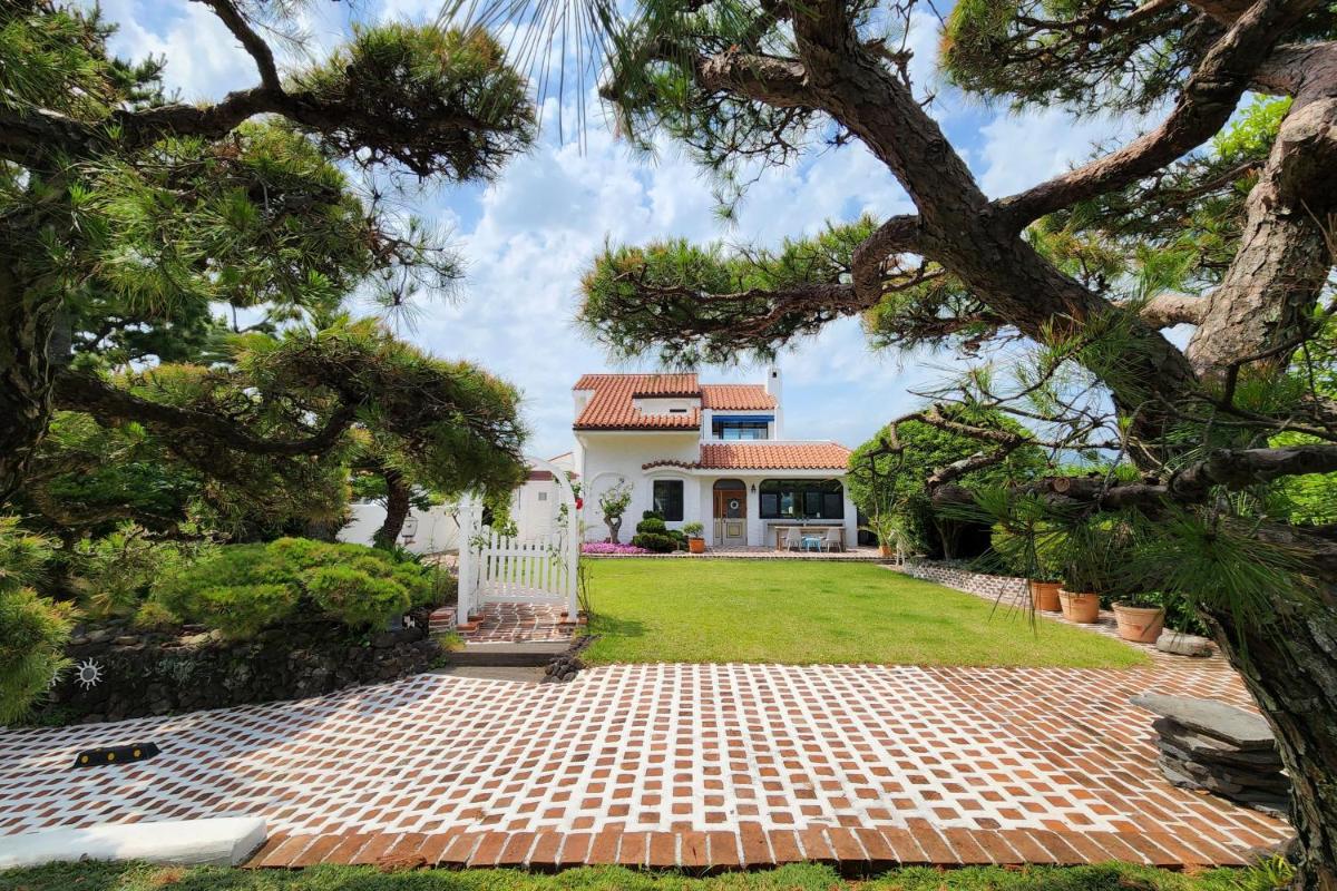 Palm Tree Villa