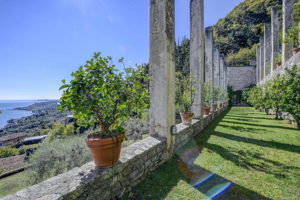 Lemon Garden Retreat view 3