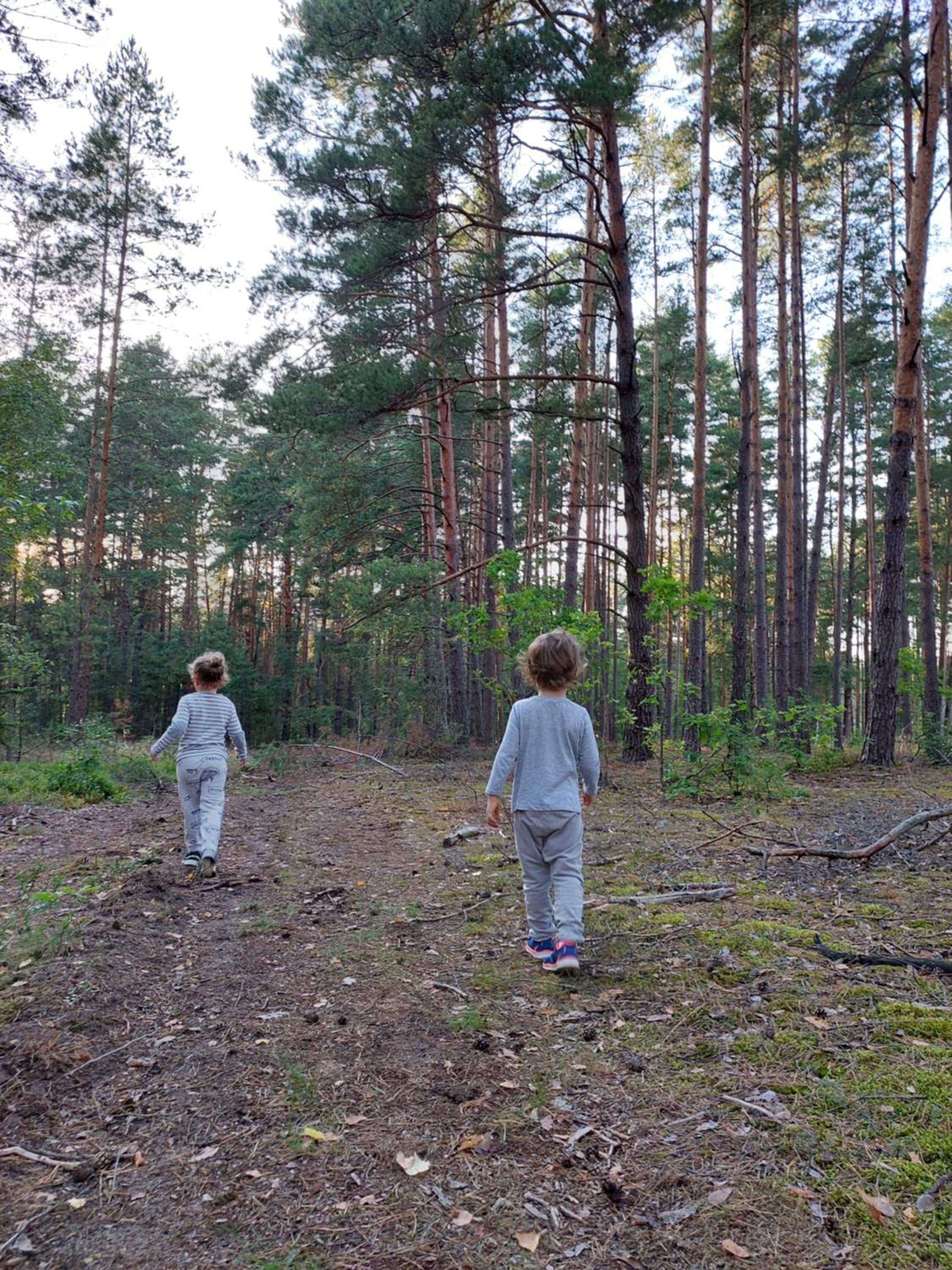 children's play area