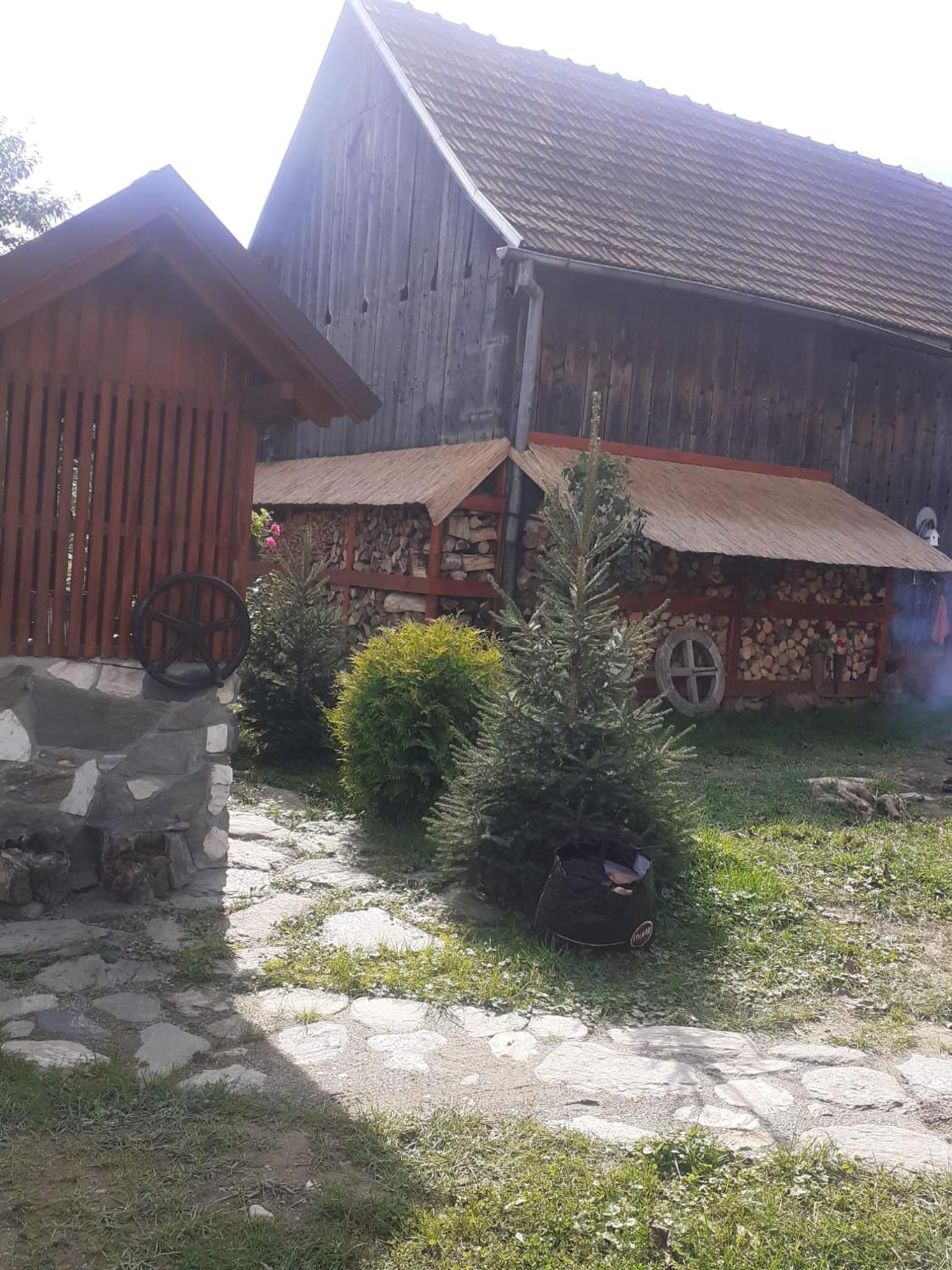 Photo 7
