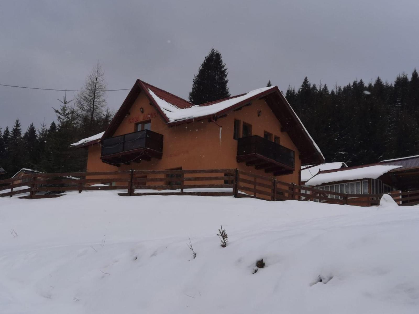 Casa Aurici Vatra Dornei view 4