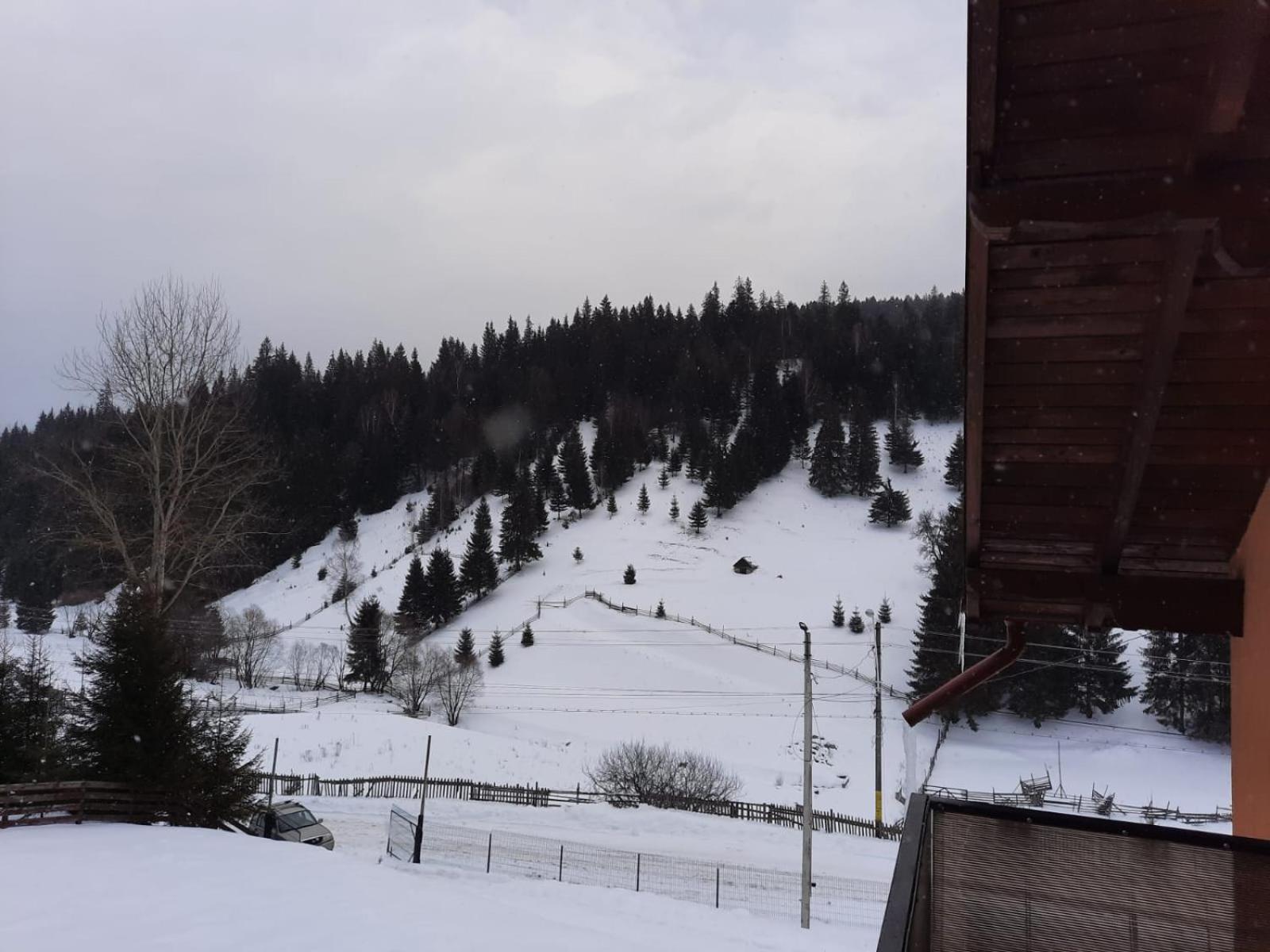 Casa Aurici Vatra Dornei view 5