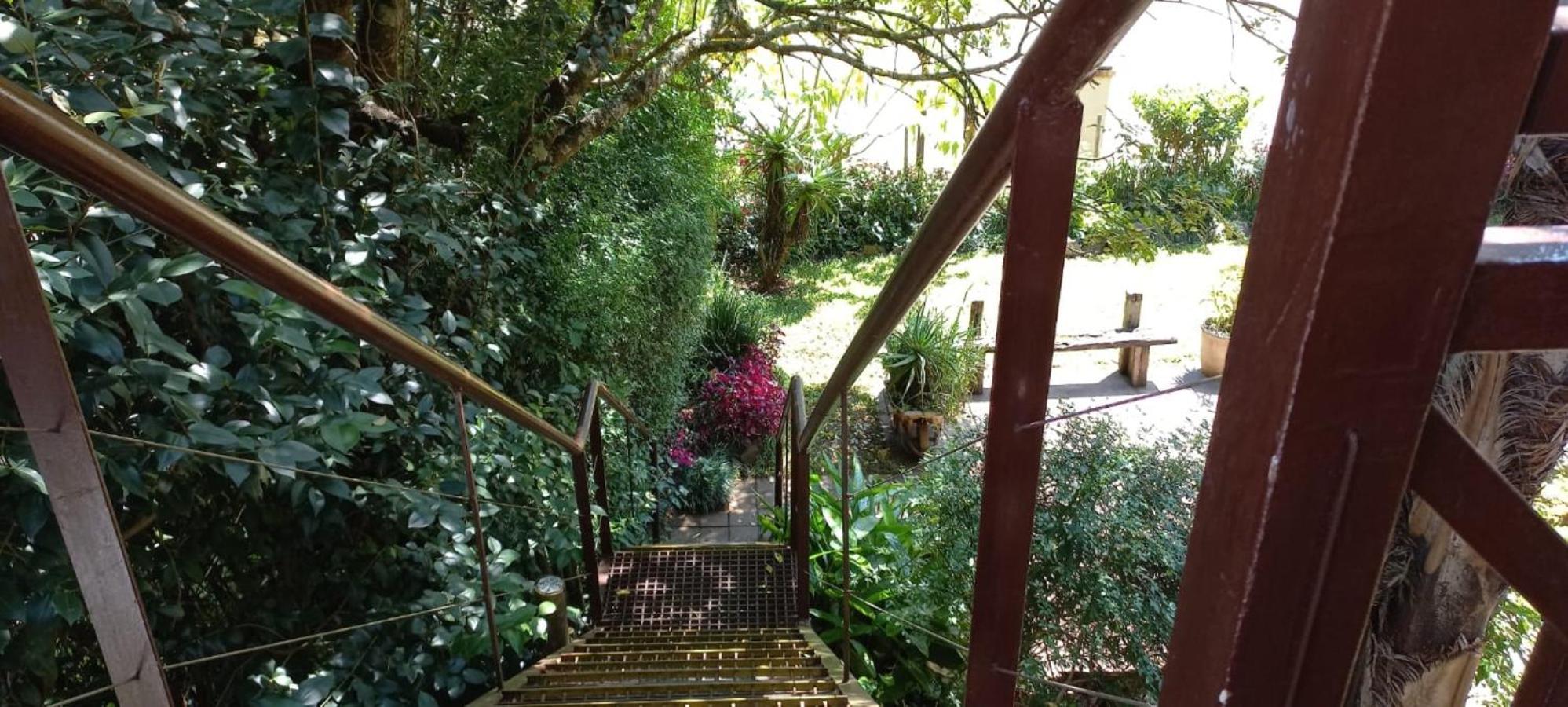 Autumn Breeze Manor Guest House