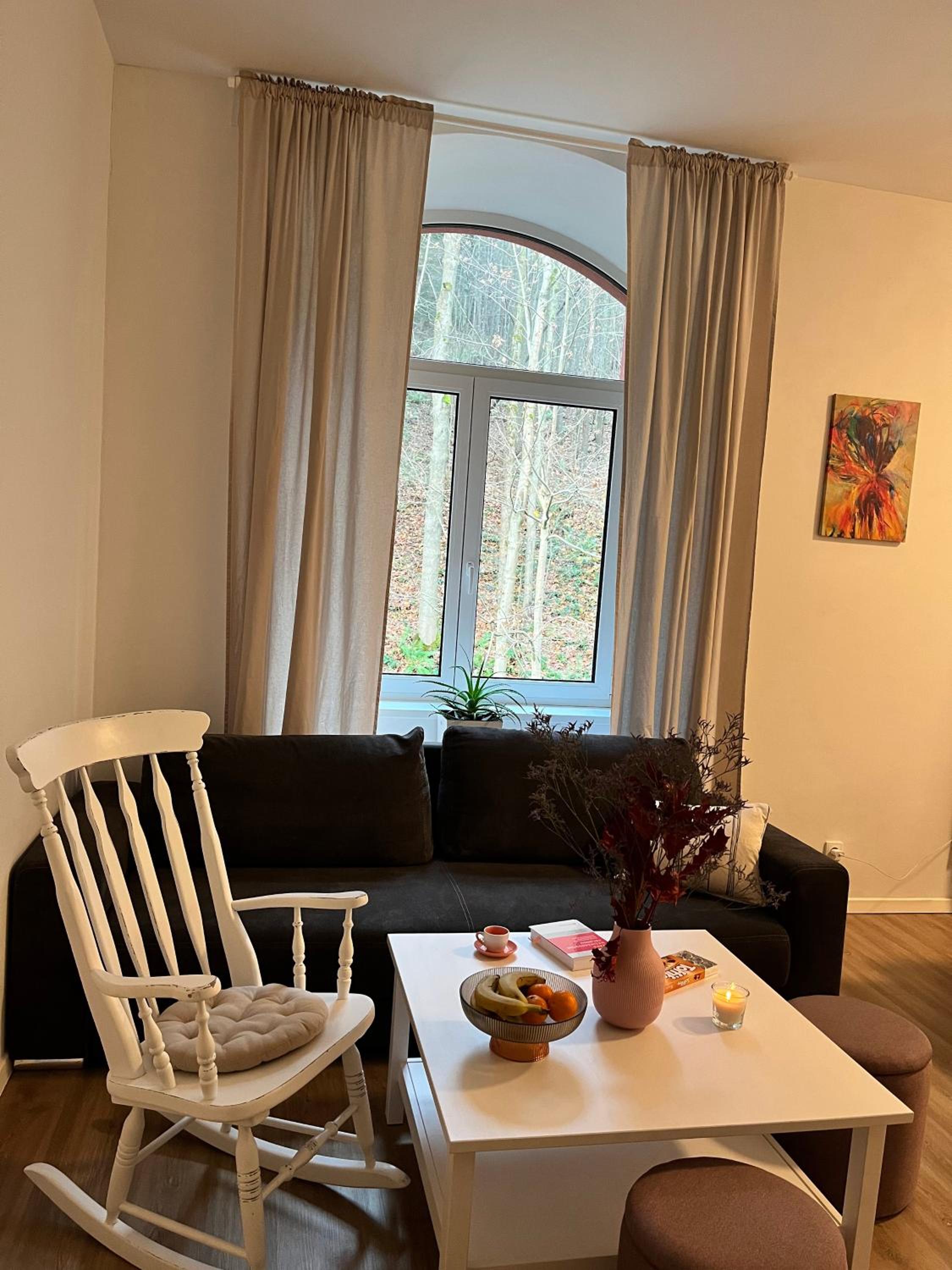 Aviatik apartmány-Černý Důl