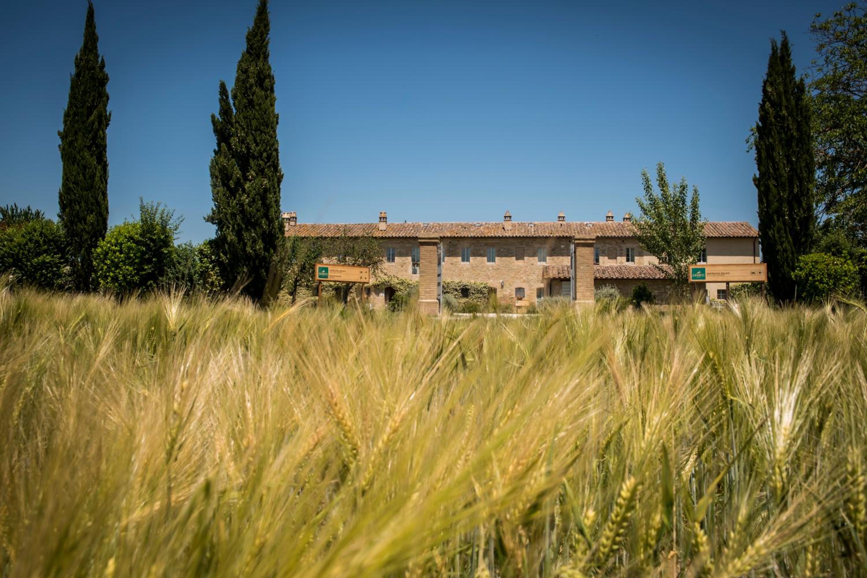 Favorita Food&Wine Resort