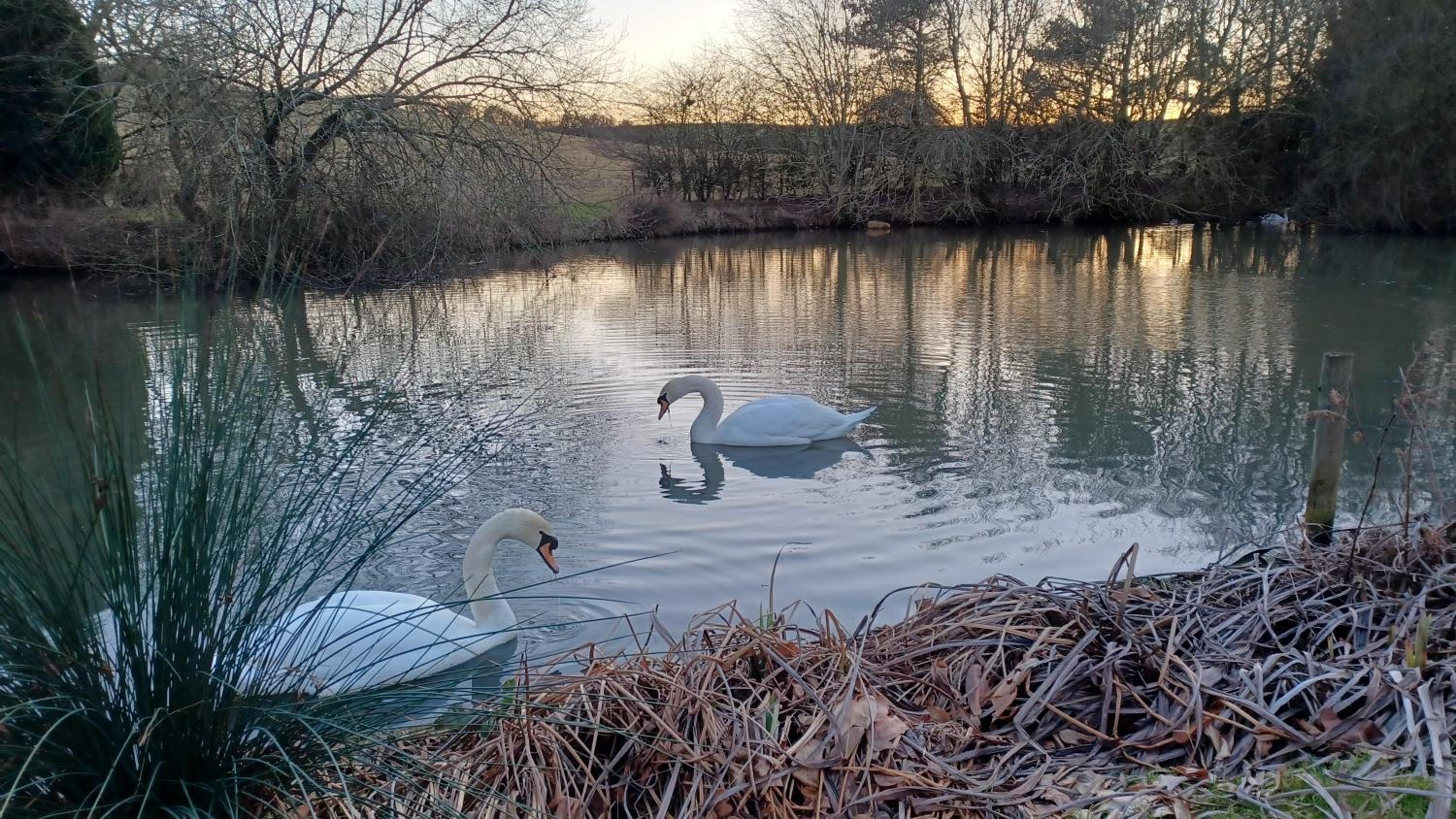 Stowe Fields