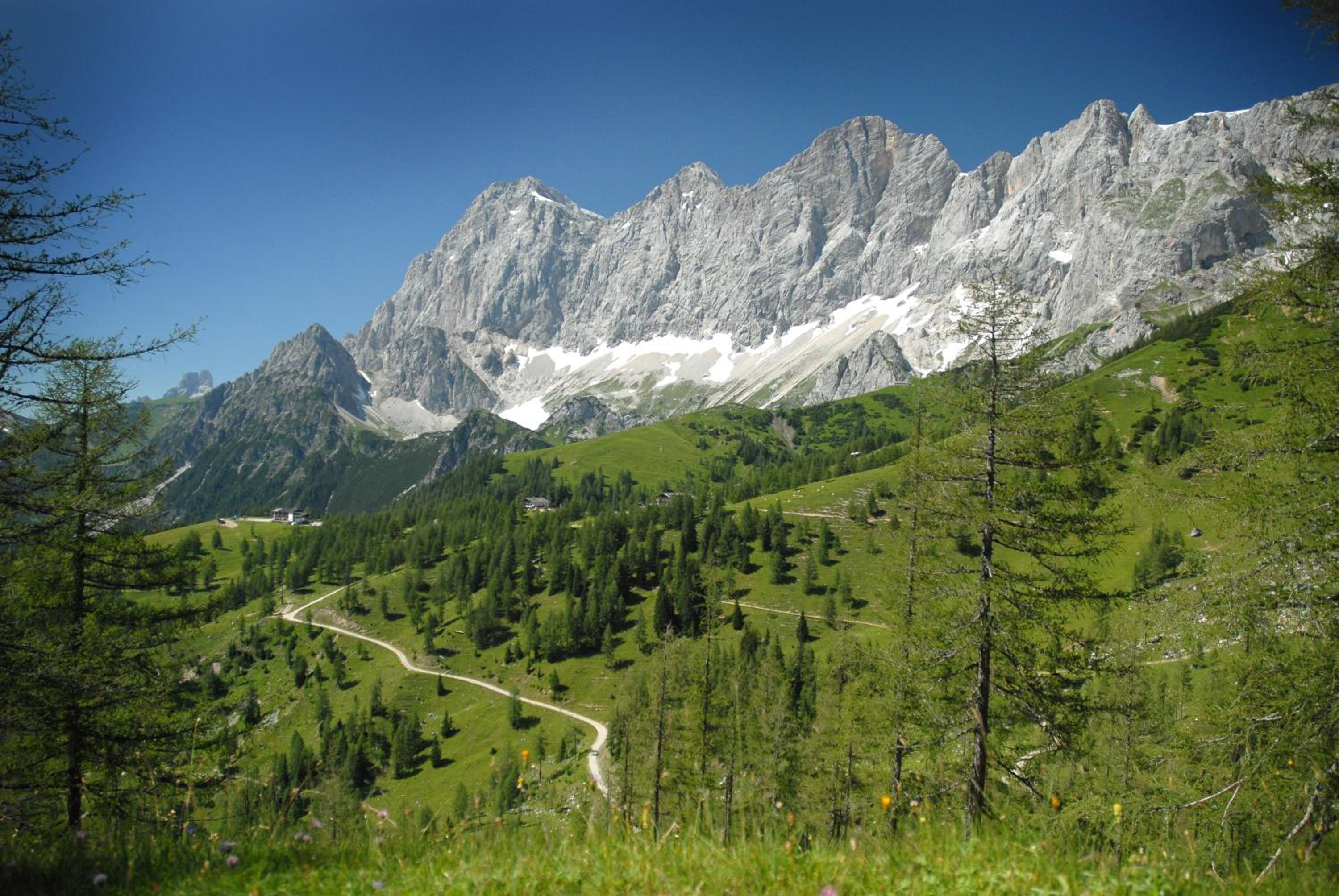 Photo 45