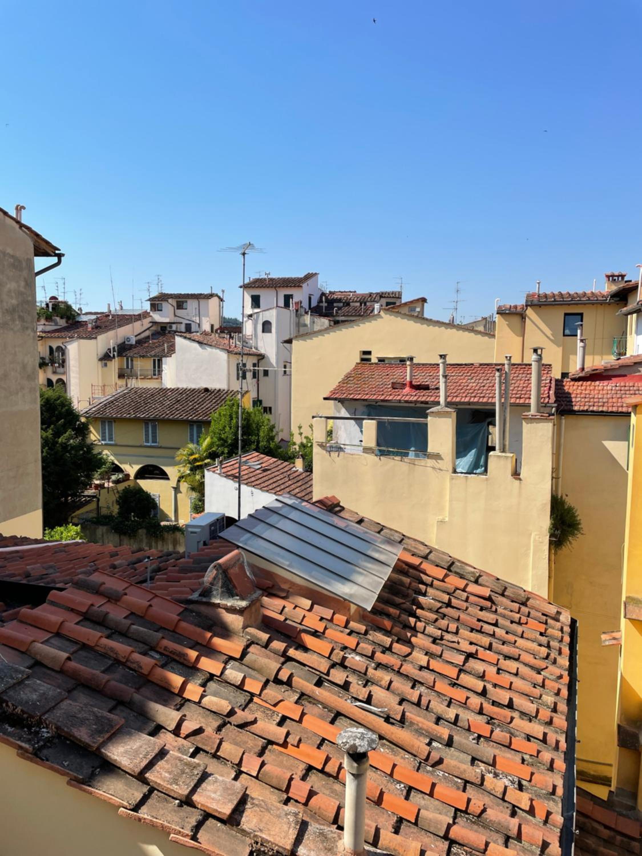 Da Giulia