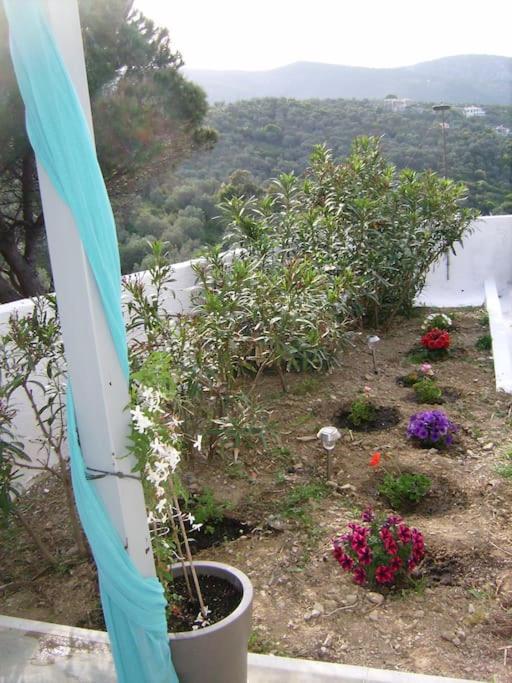 VILLA LIA-SKIATHOS-PRIVATE POOL-