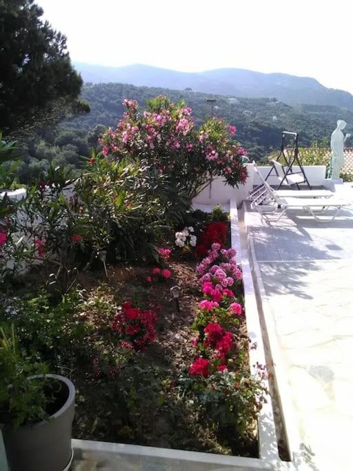 VILLA LIA-SKIATHOS-PRIVATE POOL-