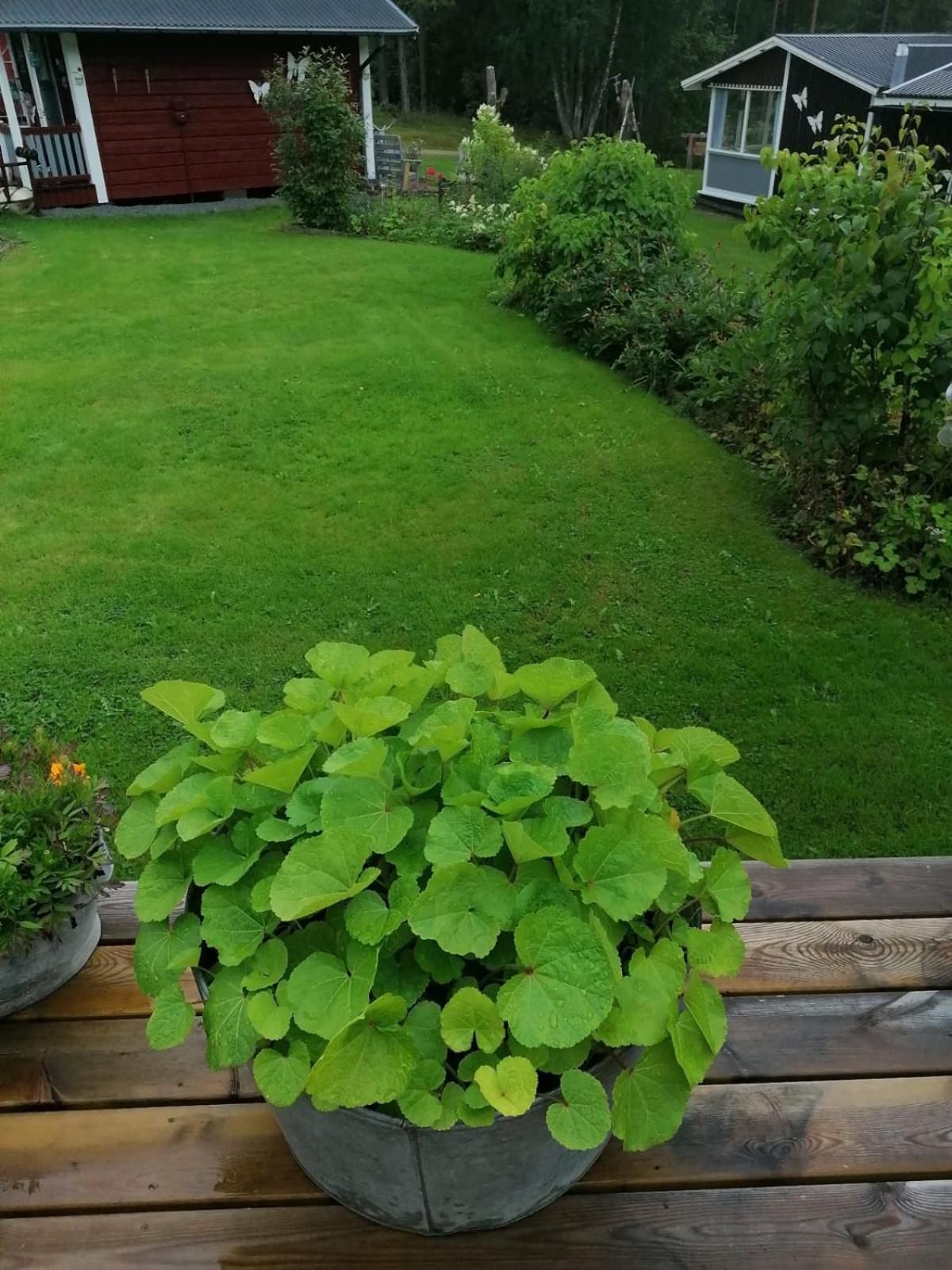 Photo 21